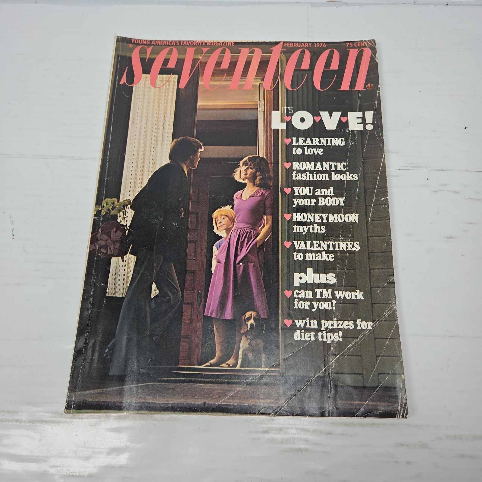 Seventeen Magazine – February 1976 Issue Retro Girls Fashion Mag