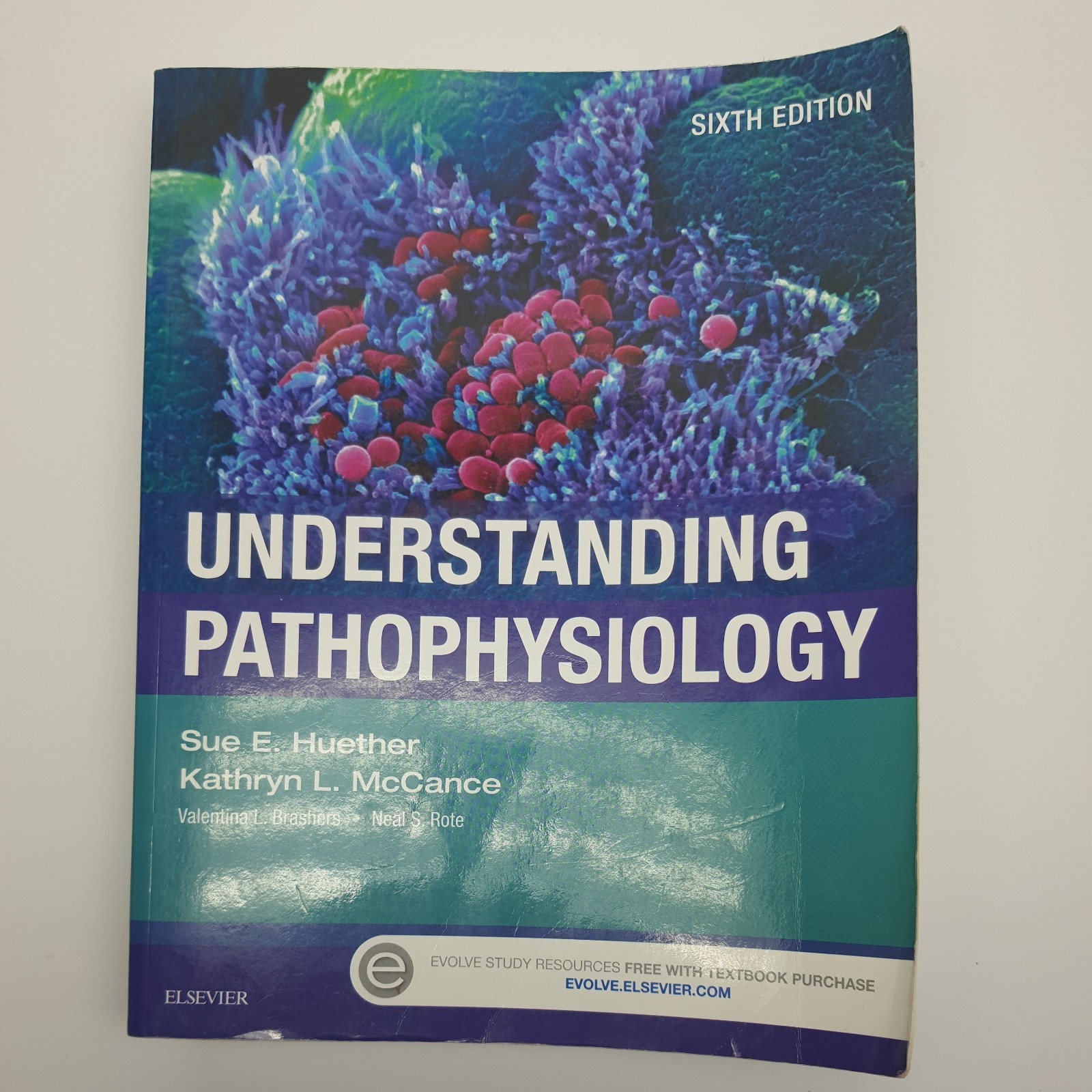 Understanding Pathophysiology by Kathryn L. McCance and Sue E. Huether (2016,…