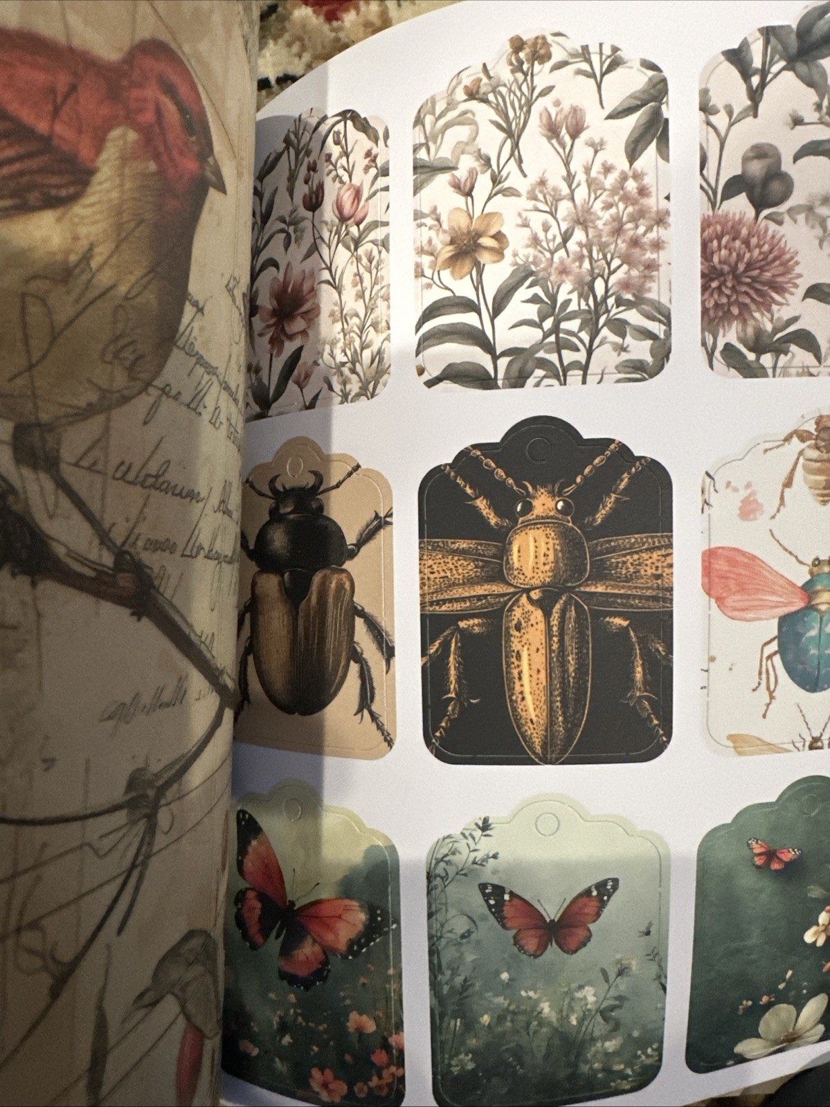 PAPER PAPER PAPER The Floral Riot COLLECTION BOOK 180 Pages Create Craft 2025