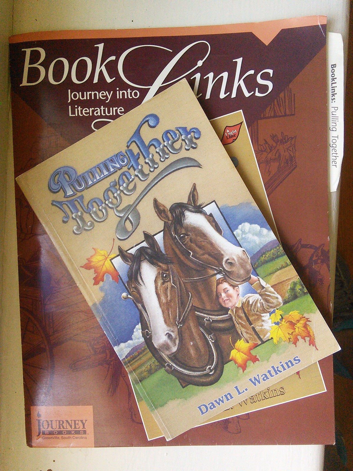 Booklinks Pulling Together Set (Teaching Guide & Novel) Grd 2