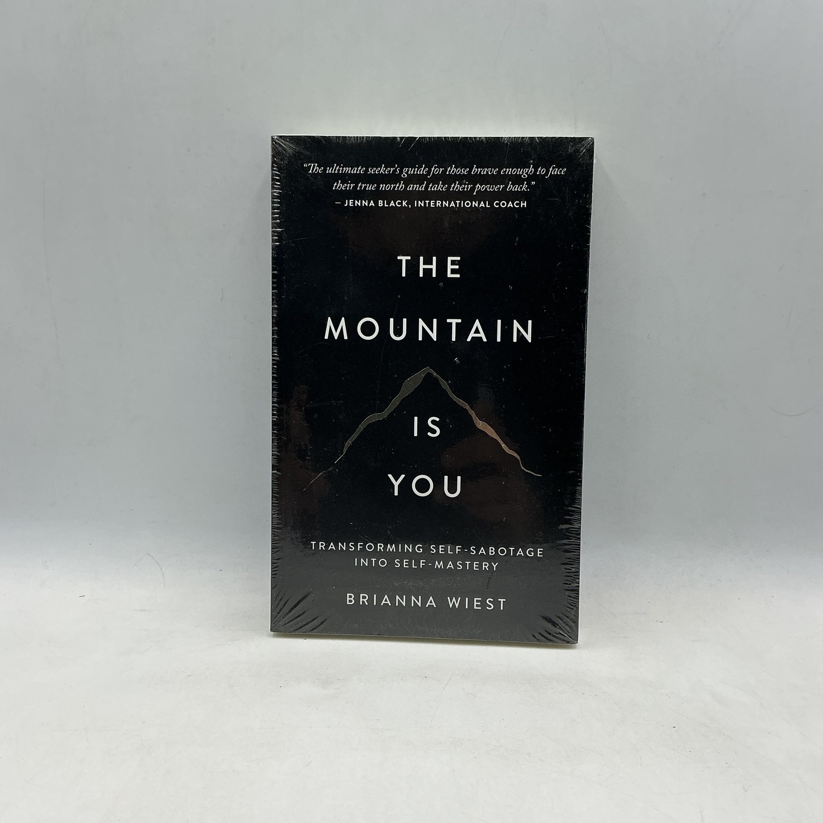 The Mountain Is You Brianna Wiest Black Trade PB 2020 Thought Catalog Self-Help