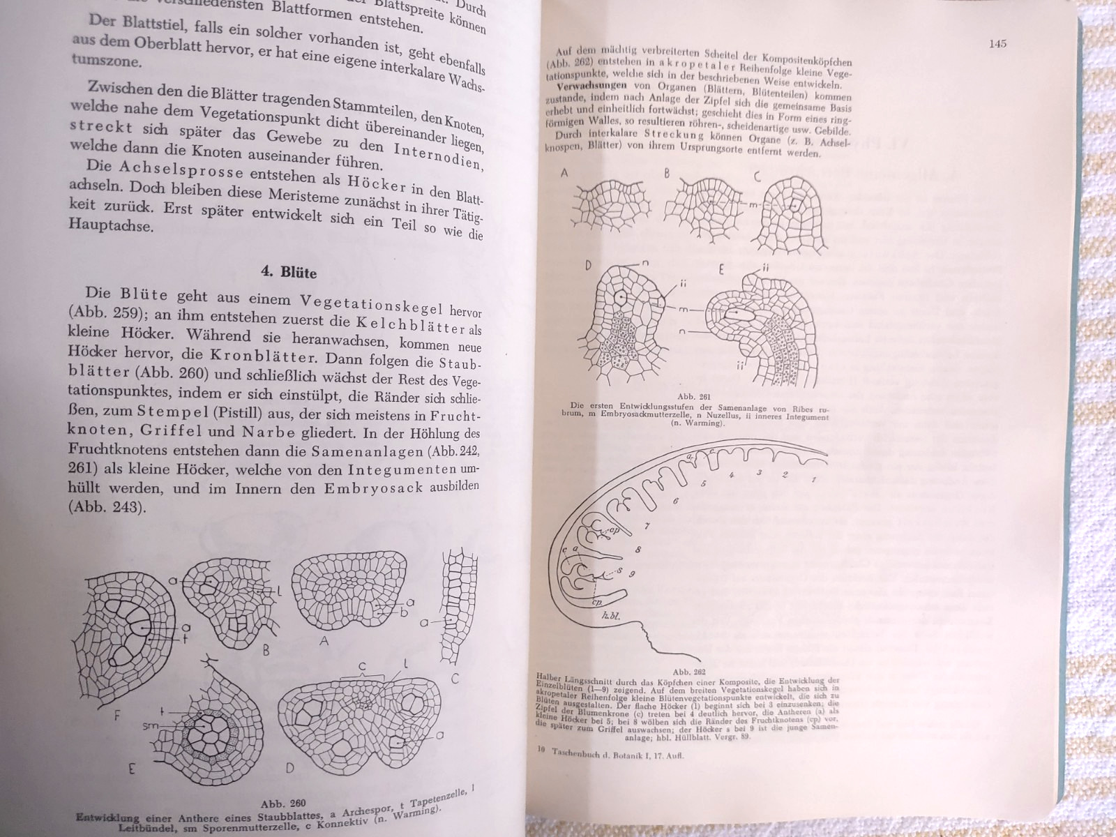 Taschenbuch der Botanik. Mevius, Walter Vintage German Botany Textbook