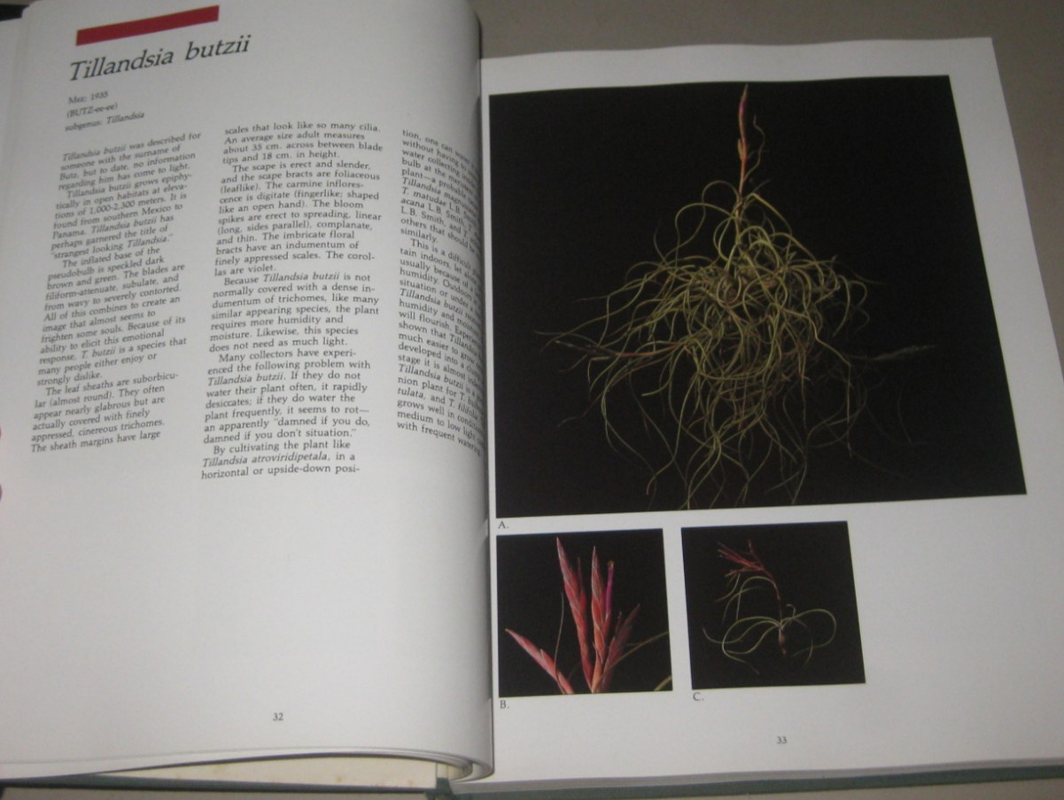 1987 First Ed Tillandsia: The World’s Most Unusual Air Plants by Paul T. Isley
