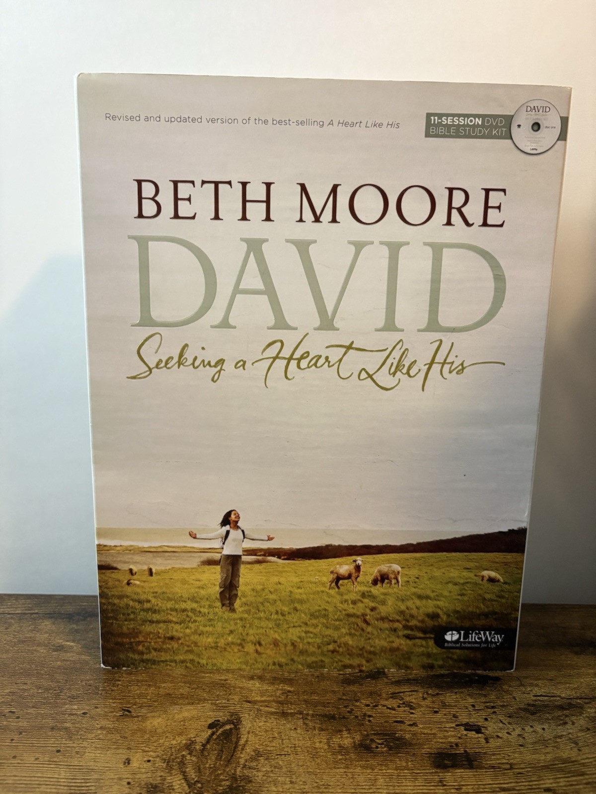 David Seeking a Heart Like His : Beth Moore LifeWay Leader Guide And One Book
