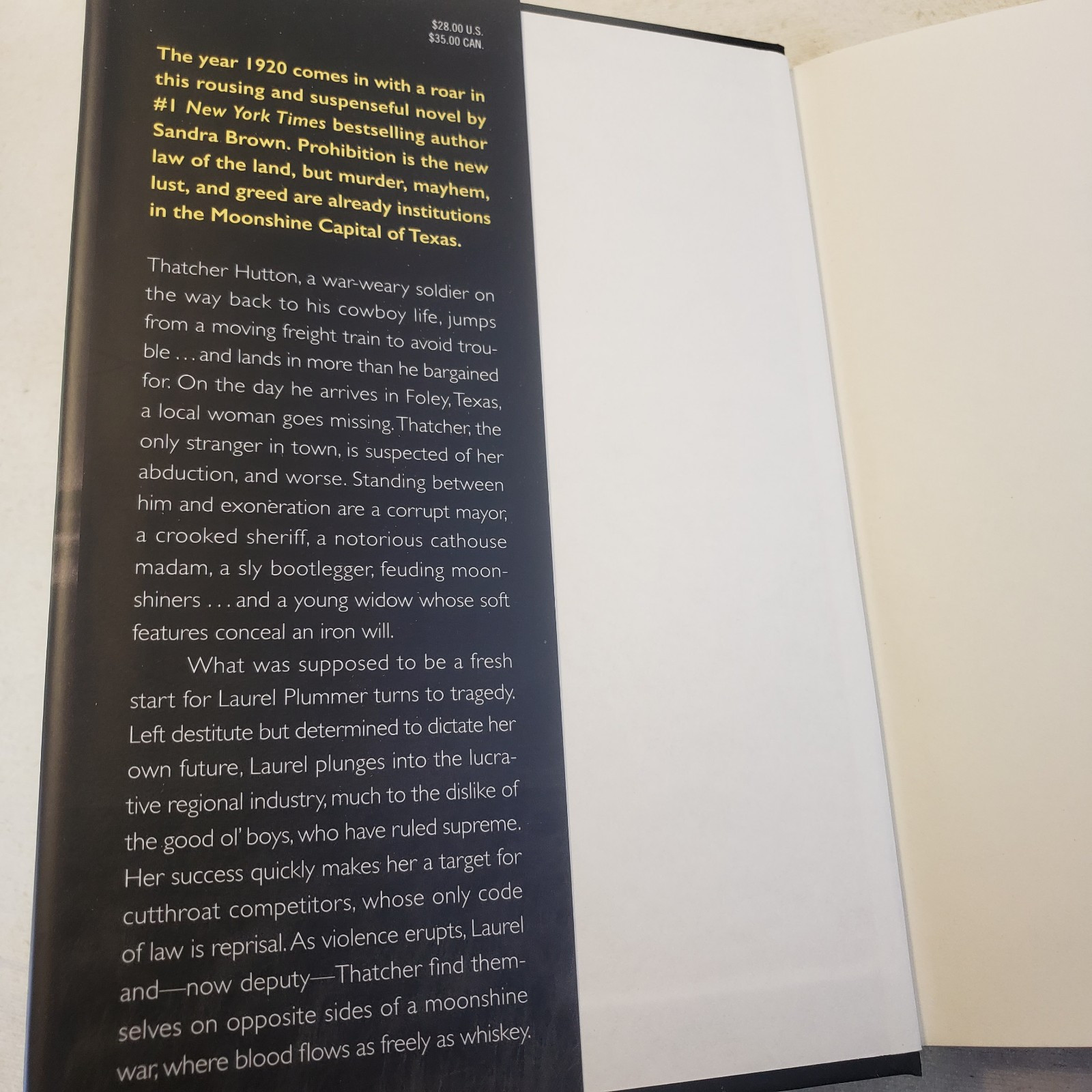2 Novels- BLIND TIGER Sandra Brown & A TERRIBLE FALL OF ANGELS, Laurell Hamilton