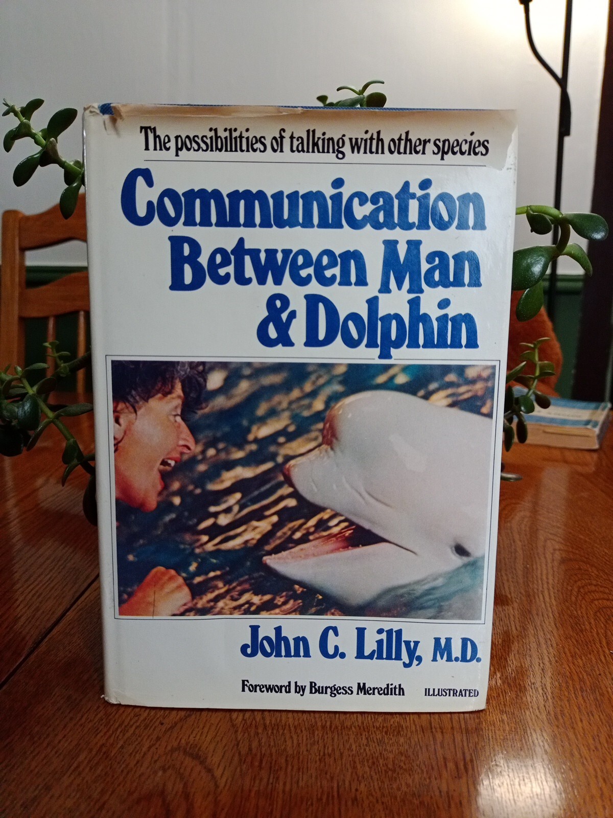 Communication Between Man and Dolphin John C. Lilly 1978 Vintage