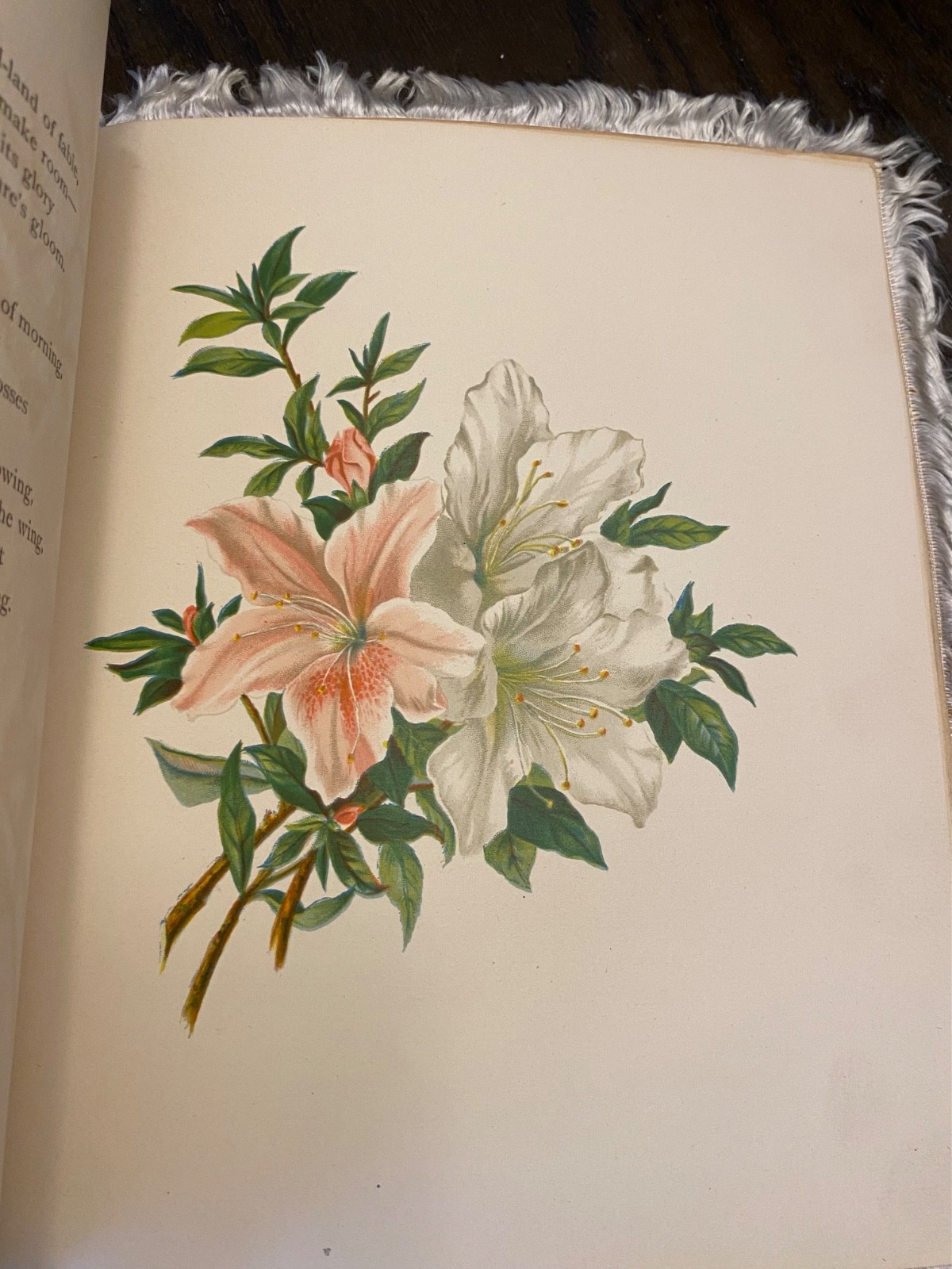 1883 Easter Flowers First Edition SC
