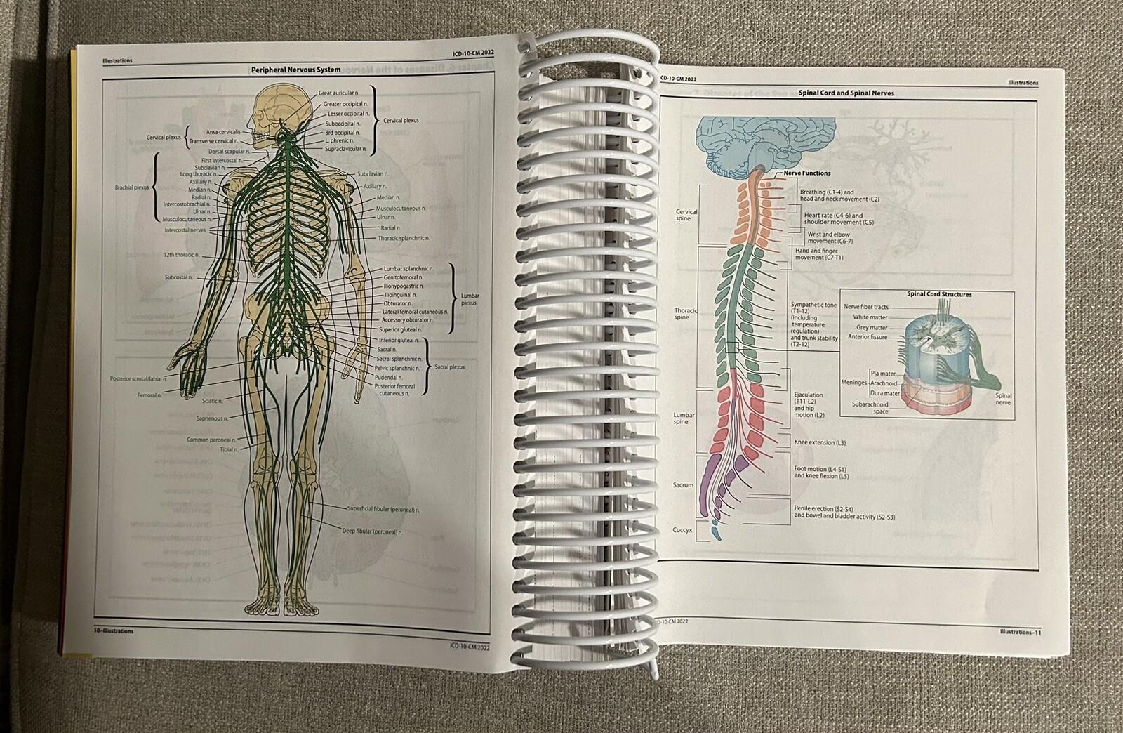 ICD-10-CM Expert for Physicians The Complete Official Code Set 2022 (Spiral)
