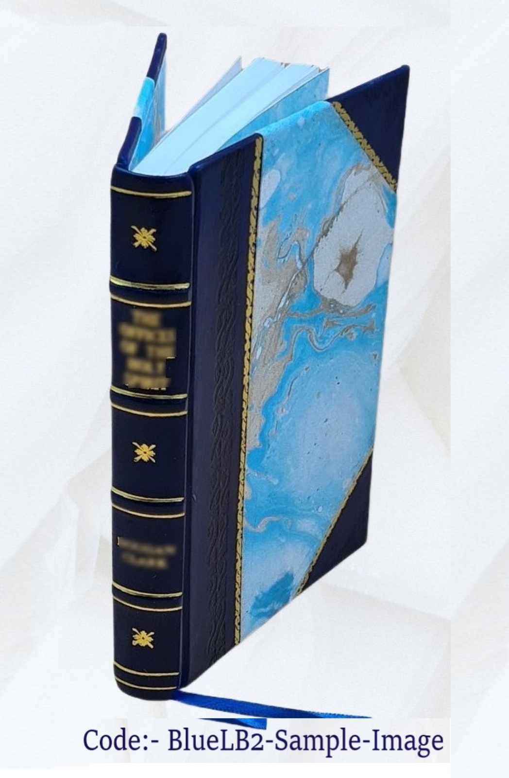 Manuel Du Tanneur Du Corroyeur, De L&rsquo;Hongroyeur Et Du Boyaudier [Leather Bound]