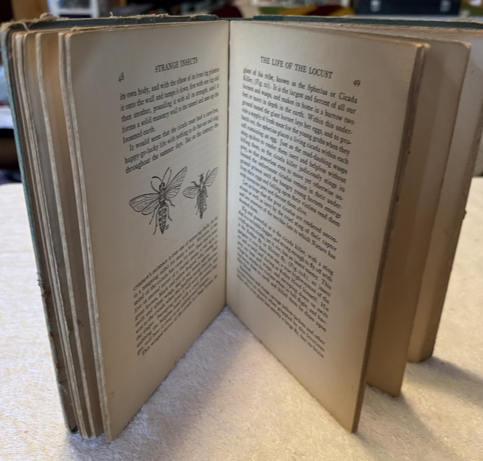Strange Insects and Their Stories by A. Hyatt Verrill 1937 U.S.A. 205 Pages