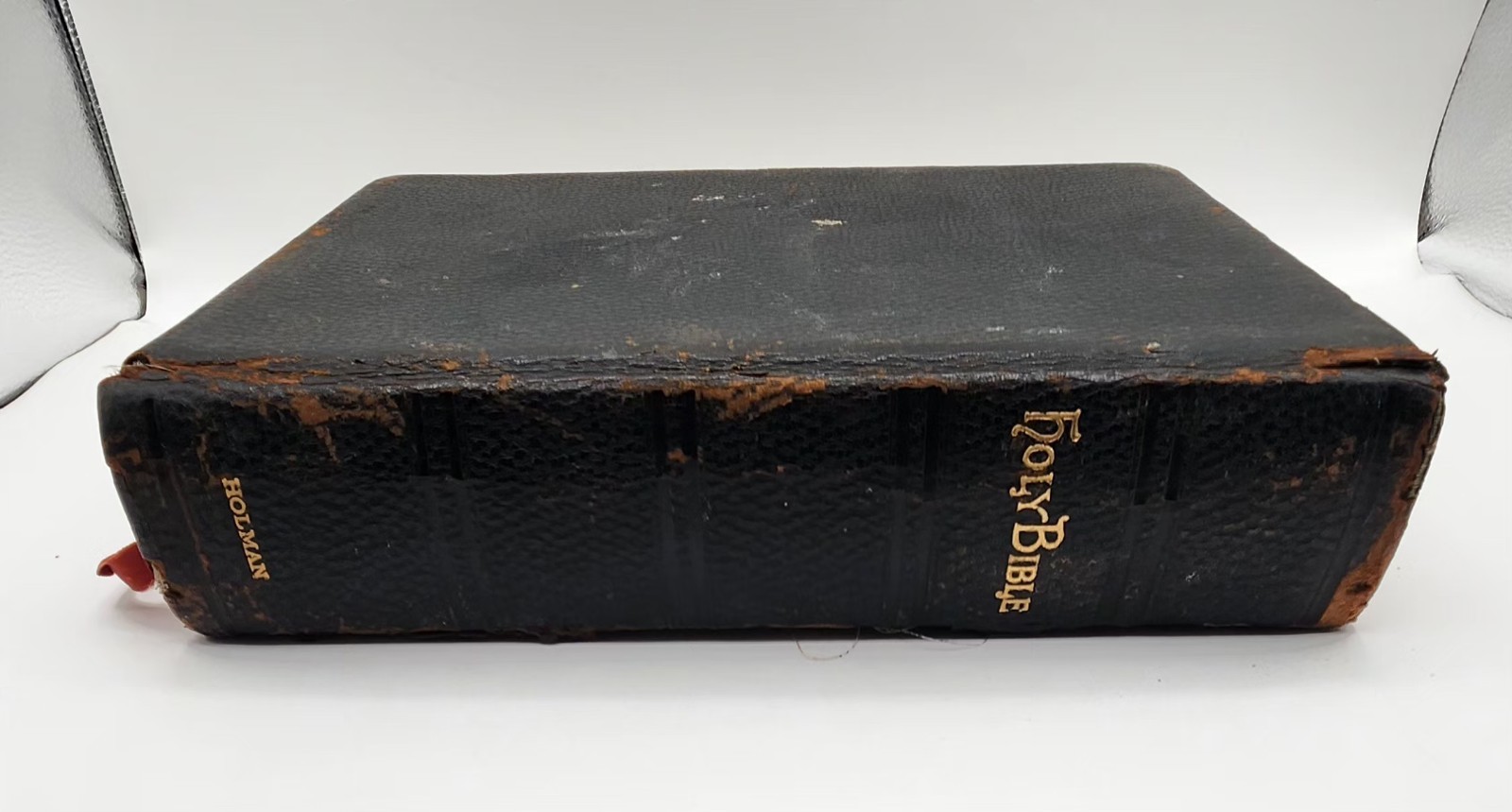 The Holy Bible Self-Pronouncing Edition The Original Tongue Marginal References