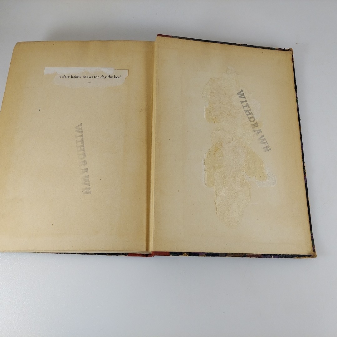 Lectures to Living Authors By Lacon 1925 Houghton Mifflin Illustr HC Ex-Library