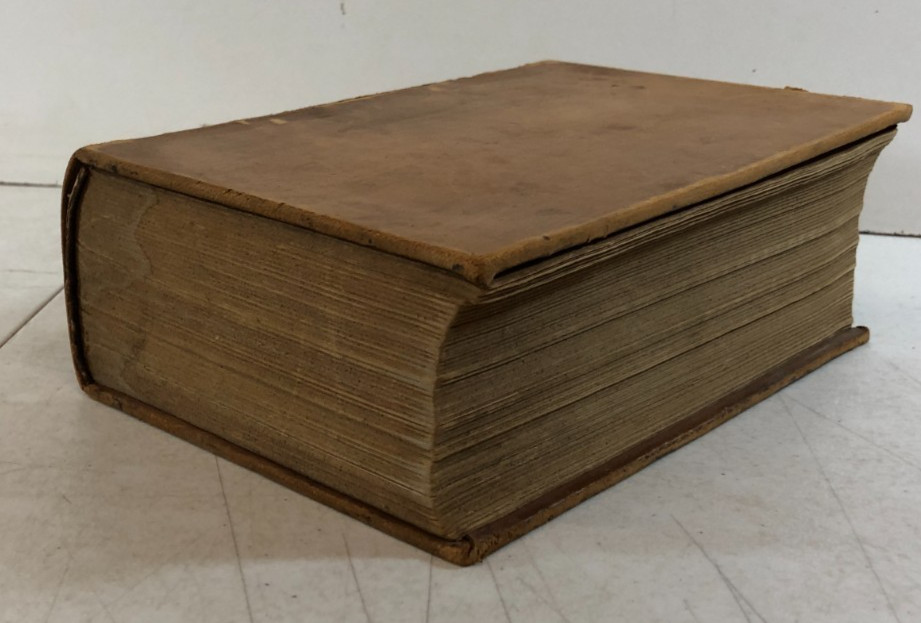 Veterinary practice; or, Explanatory Stock Doctor, Navin, 1884, E-94