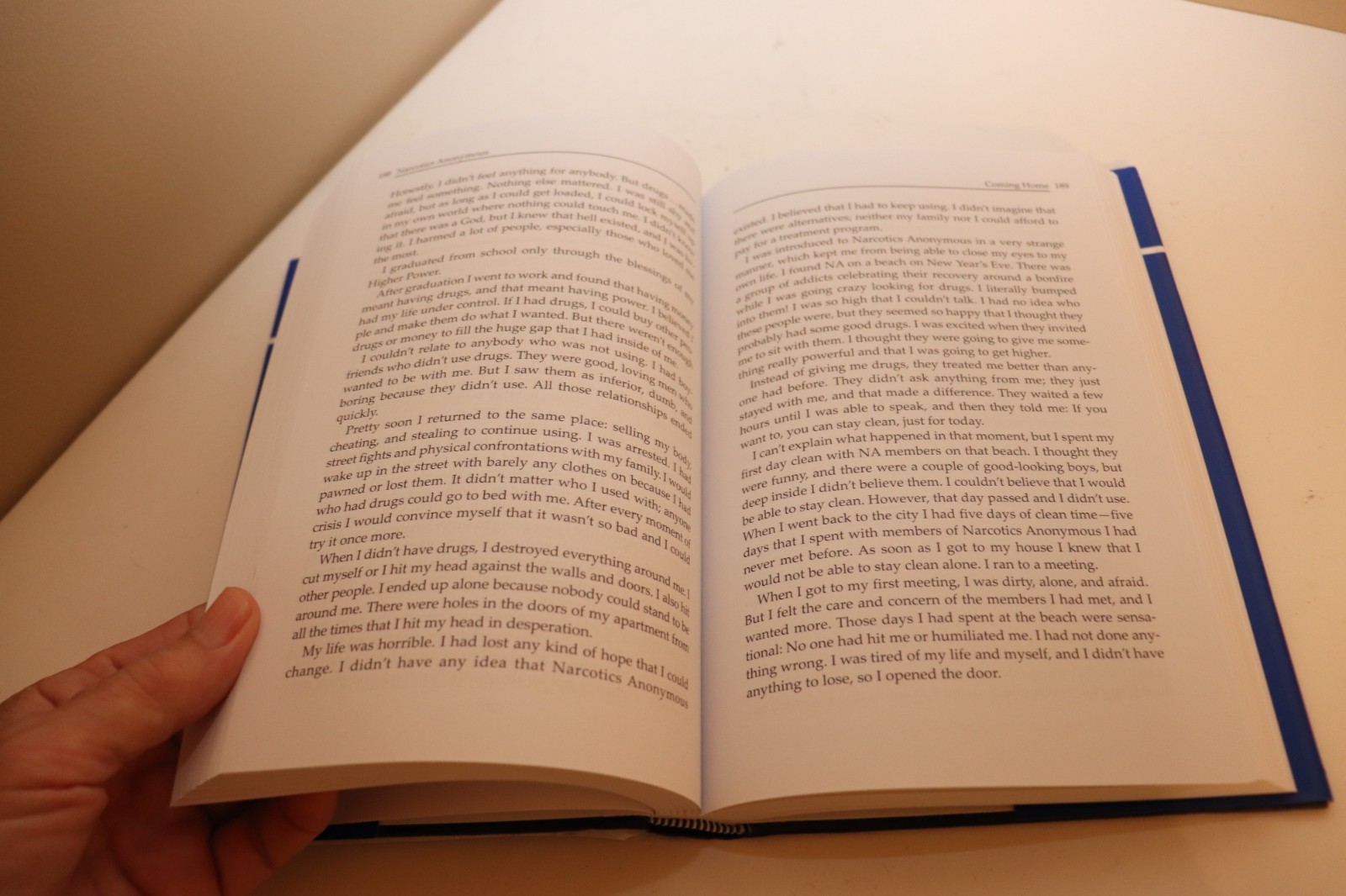 Narcotics Anonymous Basic Text 6th Edition Hard Cover NA 2008 English