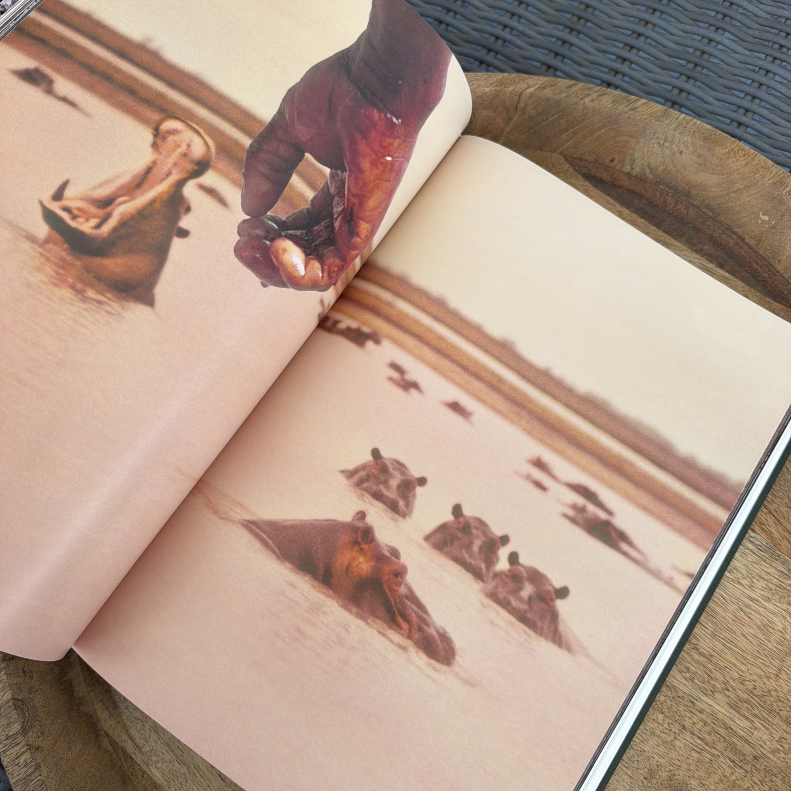 Peter Beard 2013 Taschen Coffee Table Photography Art Book Hardcover