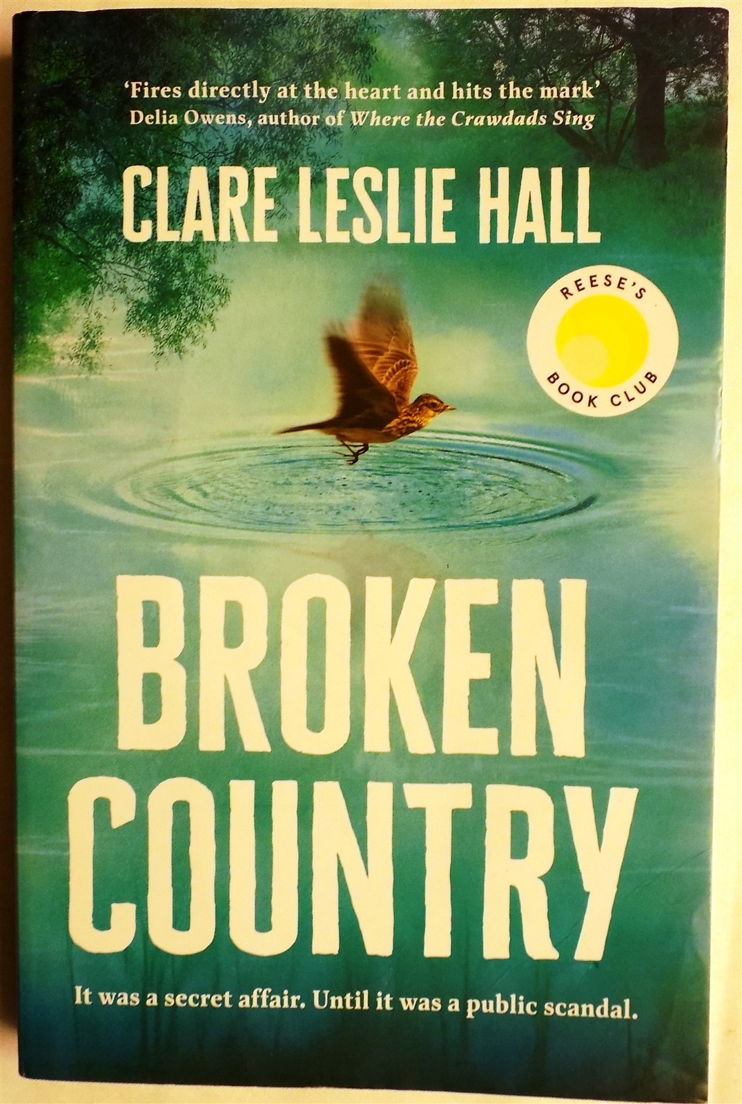 Broken Country: the most addictive love story of the year by Clare Leslie Hall