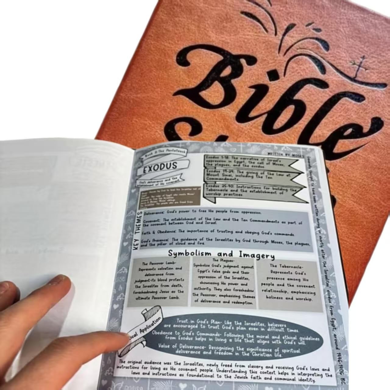 SAGROEAC 66-Page Bible Study Guide & Devotional Journal: Women&rsquo;s 66-Page Yearlon