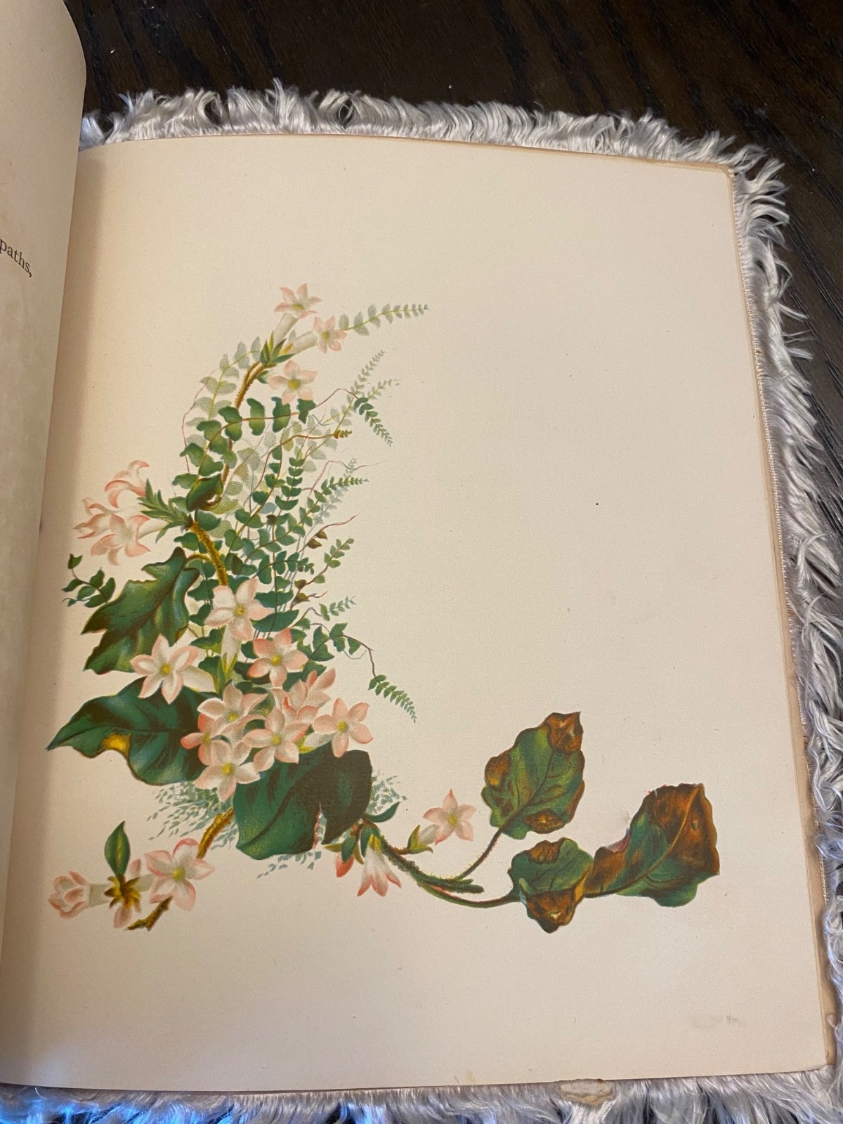 1883 Easter Flowers First Edition SC