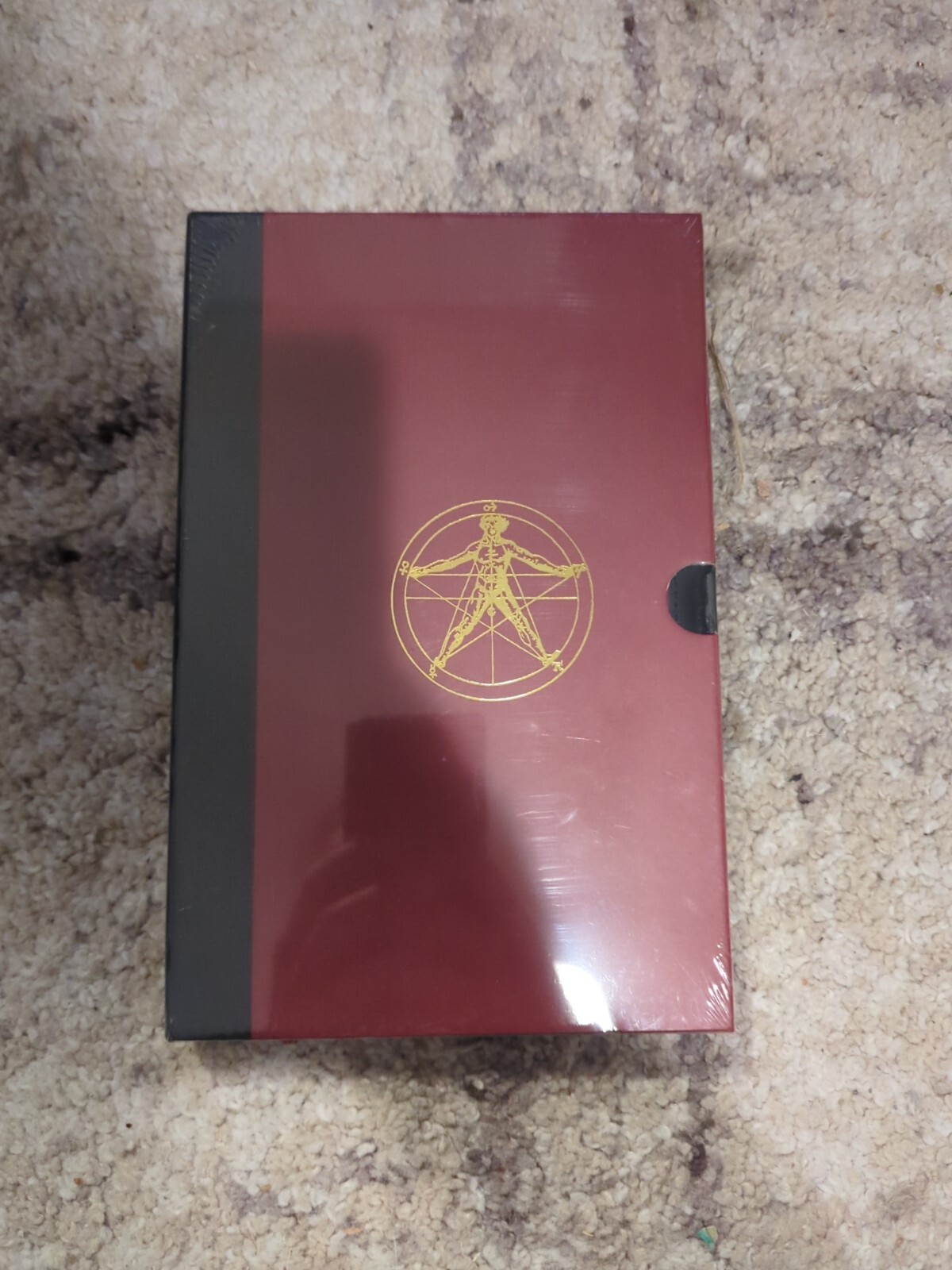 The False Hierarchy of Demons by Weyer Zasadzinska (SEALED)