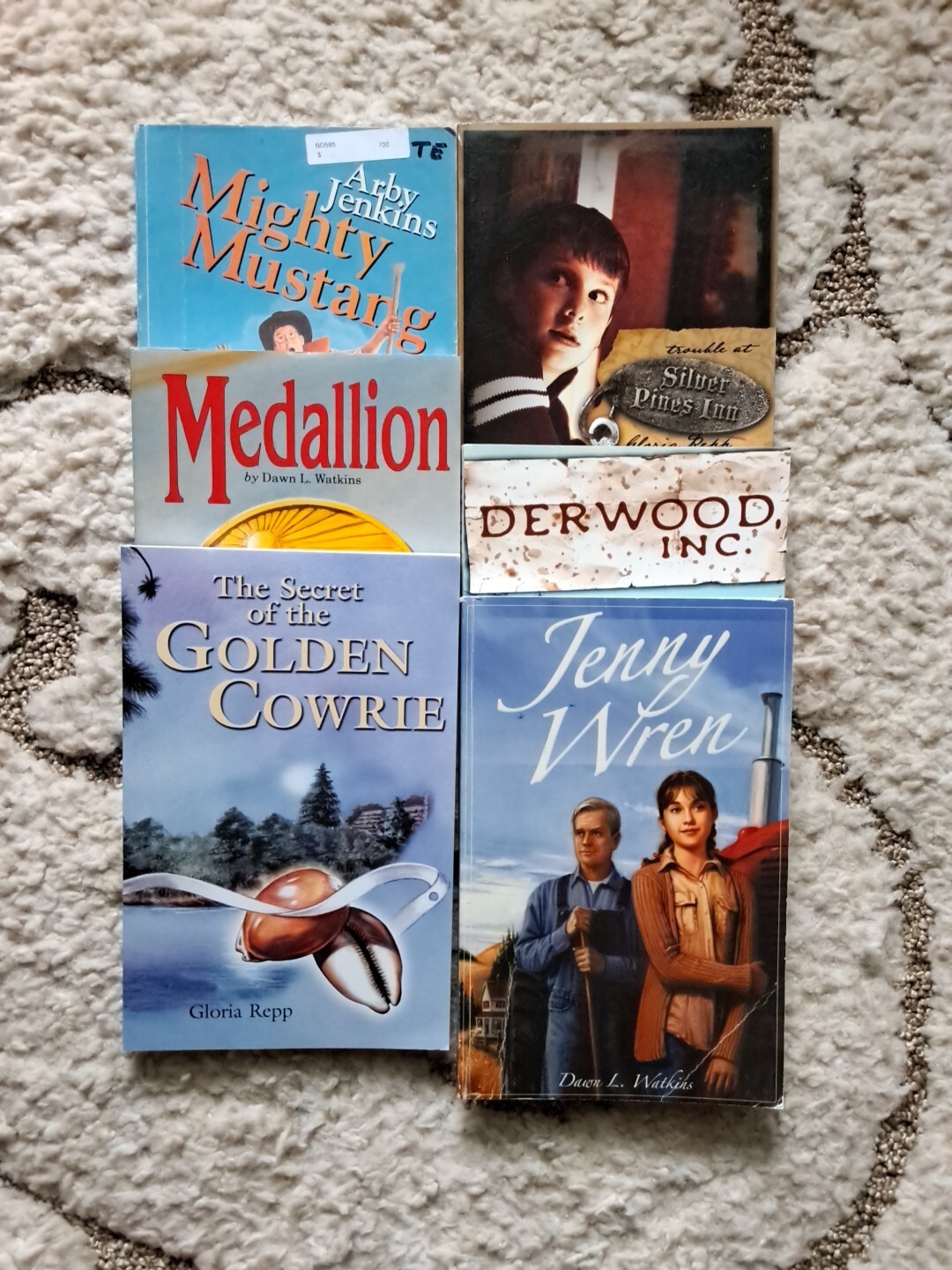 Set of 6 Journey Forth Christian Chapter Books Ages 9-12, BJU, Medallion, Wren..
