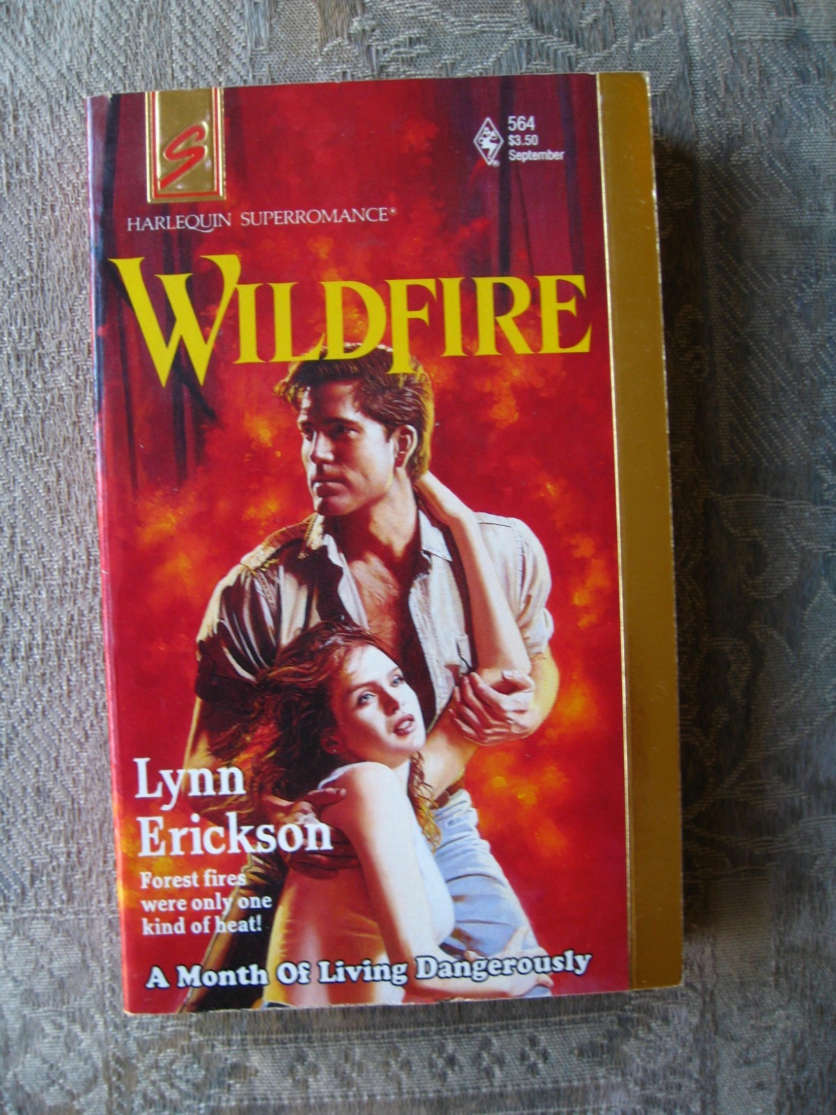 Lynn Erickson – Wildfire (Harlequin Superromance #564) 1993 – paperback