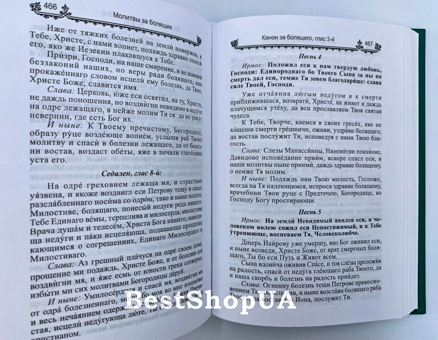 ПОЛНЫЙ ПРАВОСЛАВНЫЙ МОЛИТВОСЛОВ на всякую потребу Russian BIBLE Библия