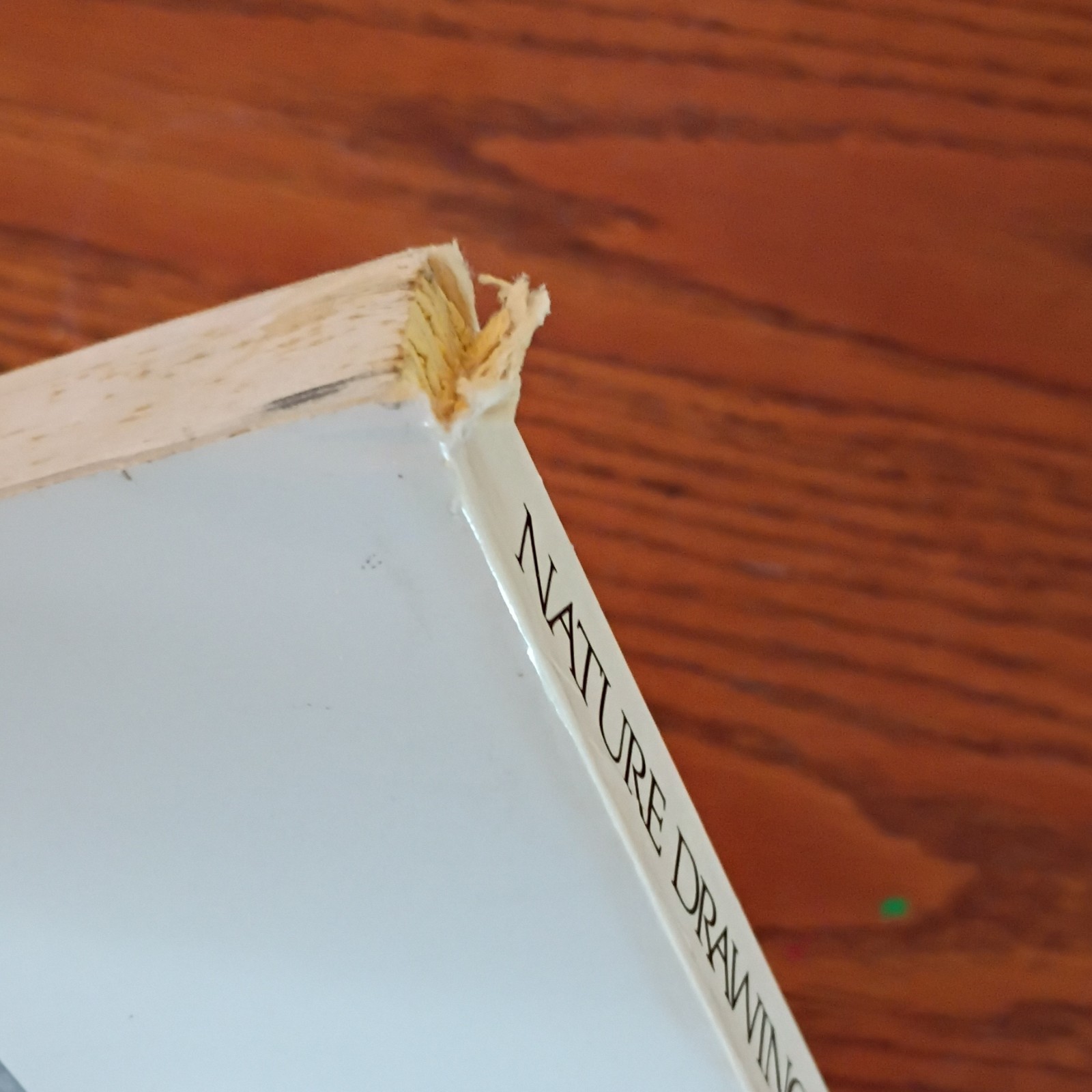 Clare Walker Leslie Nature Drawing: A Tool for Learning PB Art & Design Series
