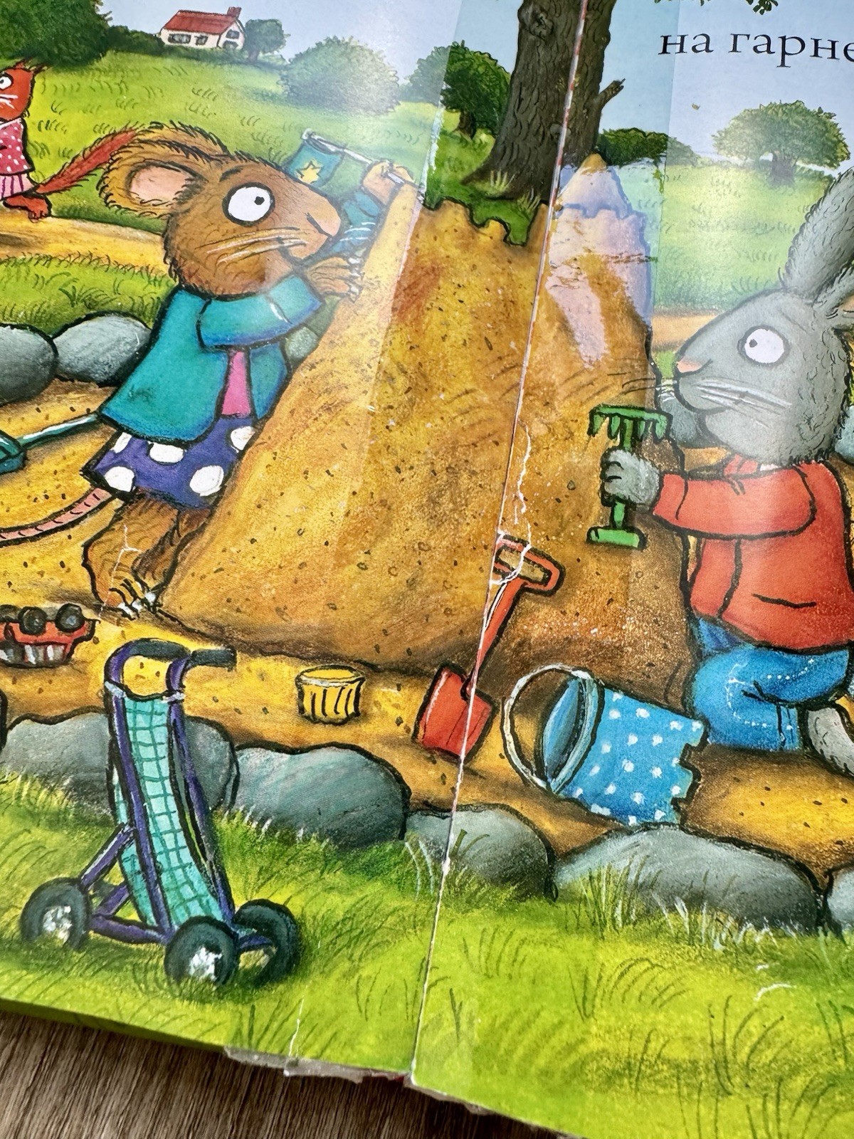 Шусть і Шуня: Спритний самокат Hardcover Ukrainian Ages 0-4 Illus 2018
