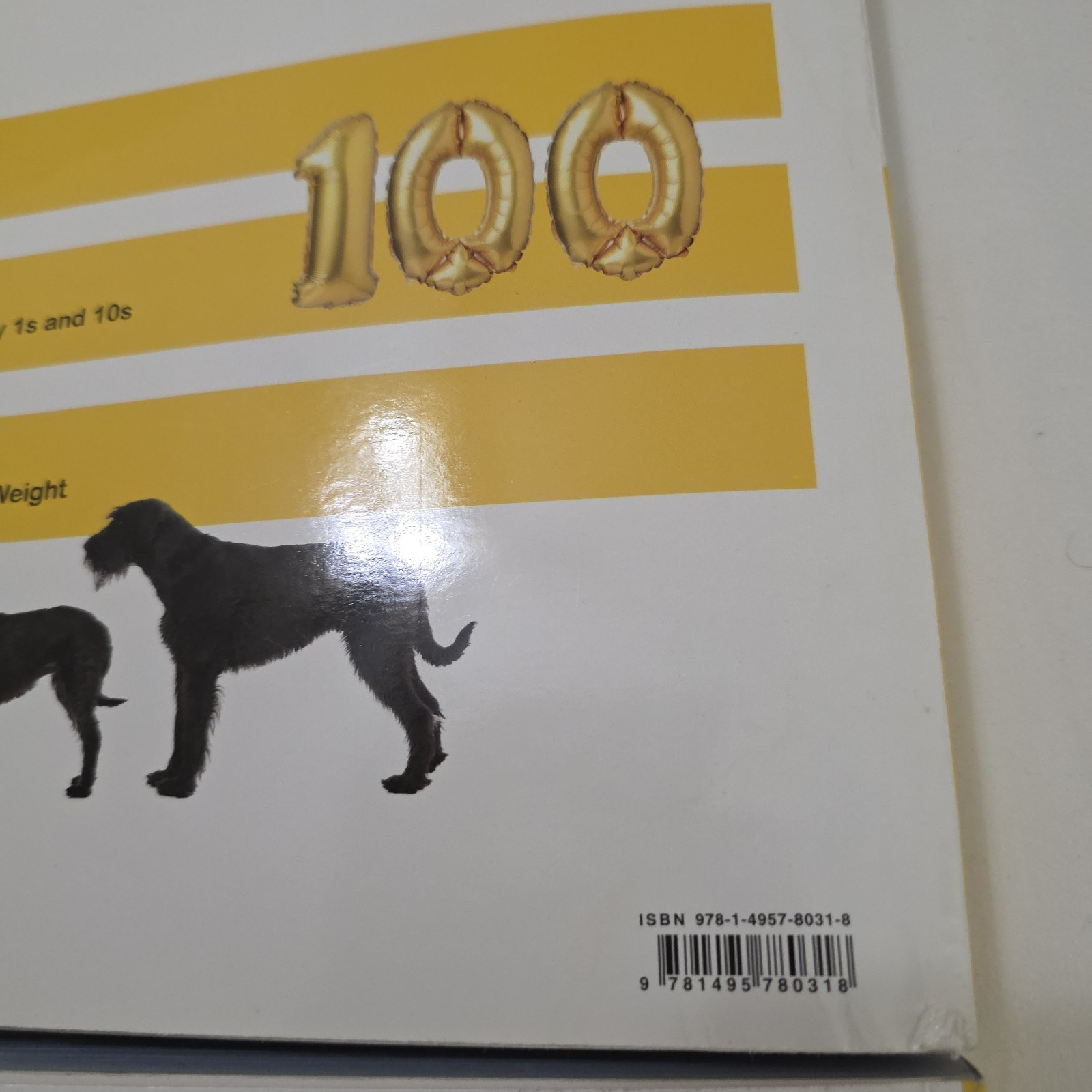 i-Ready Classroom Mathematics Grade K Teacher’s Guide Vol 1 & 2