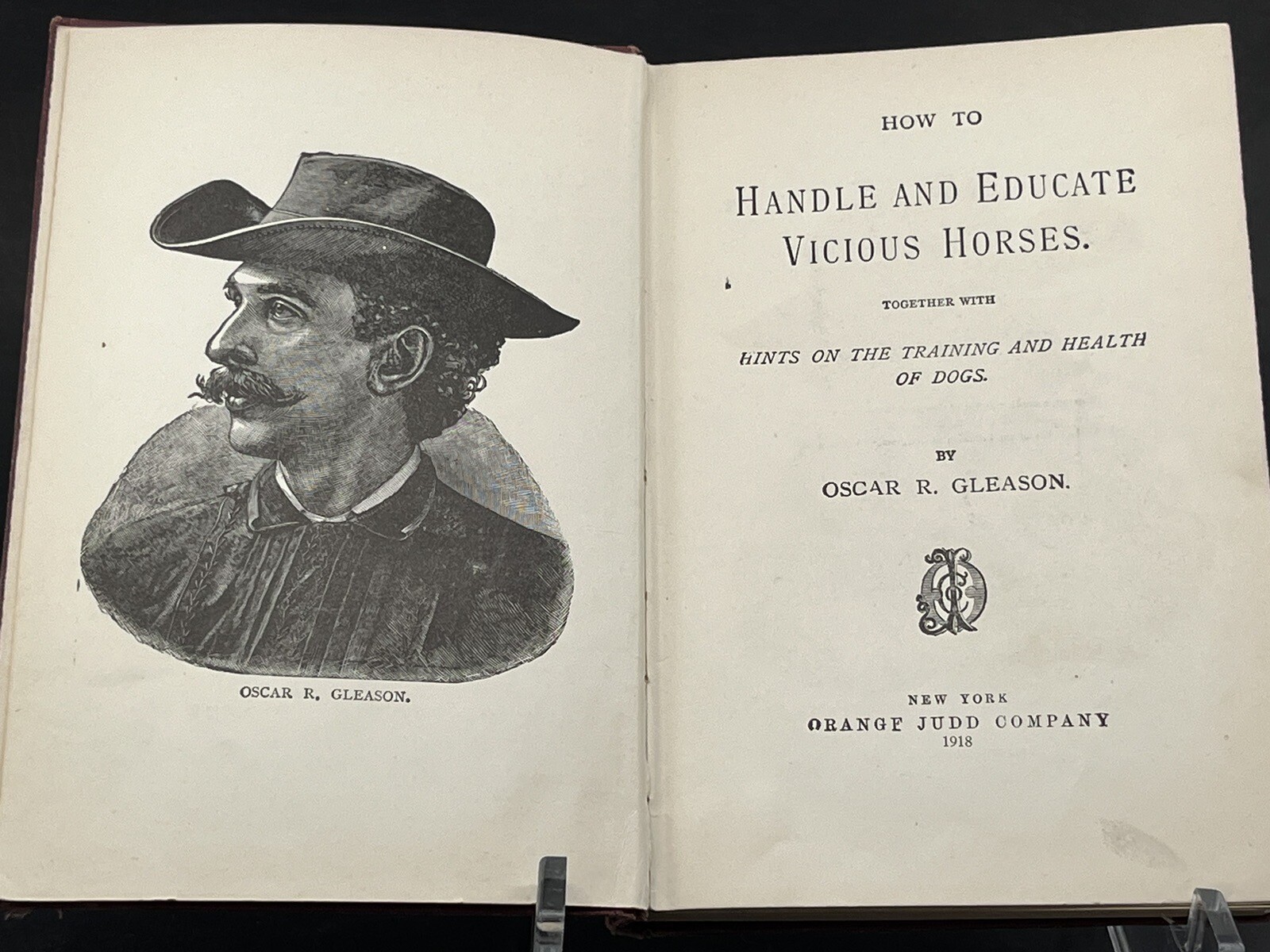 1918 HOW to HANDLE & EDUCATE VICIOUS HORSES-205 Pages-Oscar Gleason-Illustrated