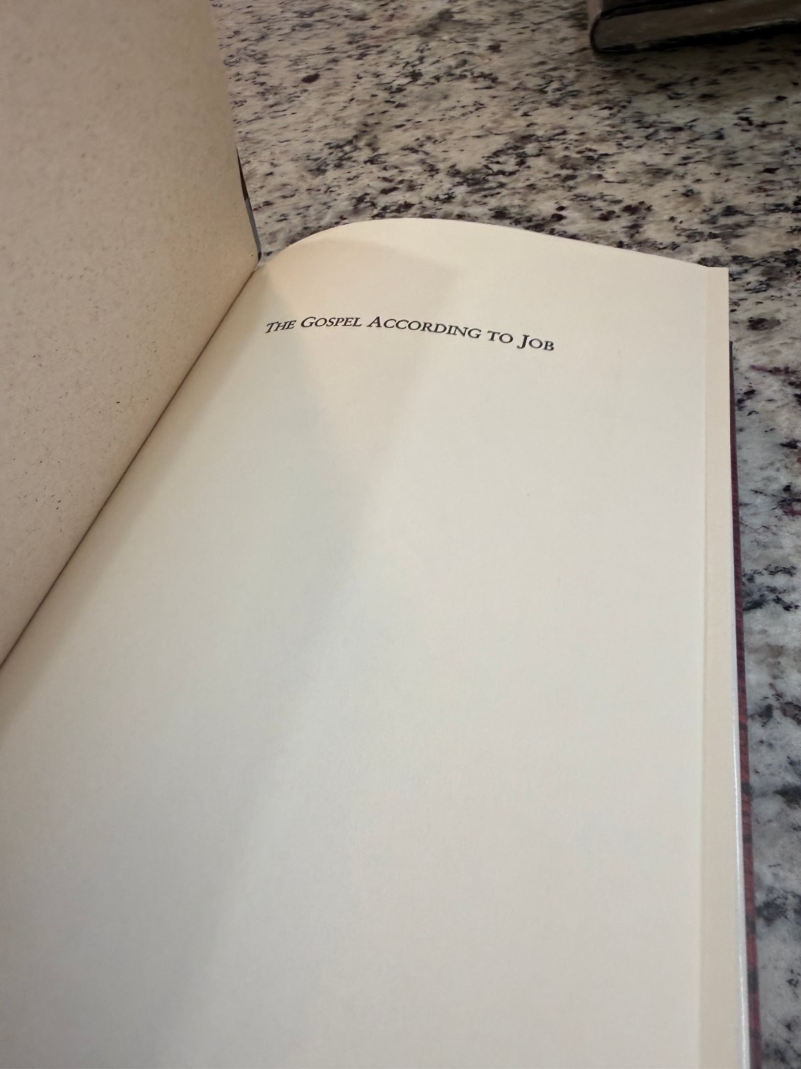 Gospel According to Job Mike Mason 1994 First Printing Christian Nonfiction
