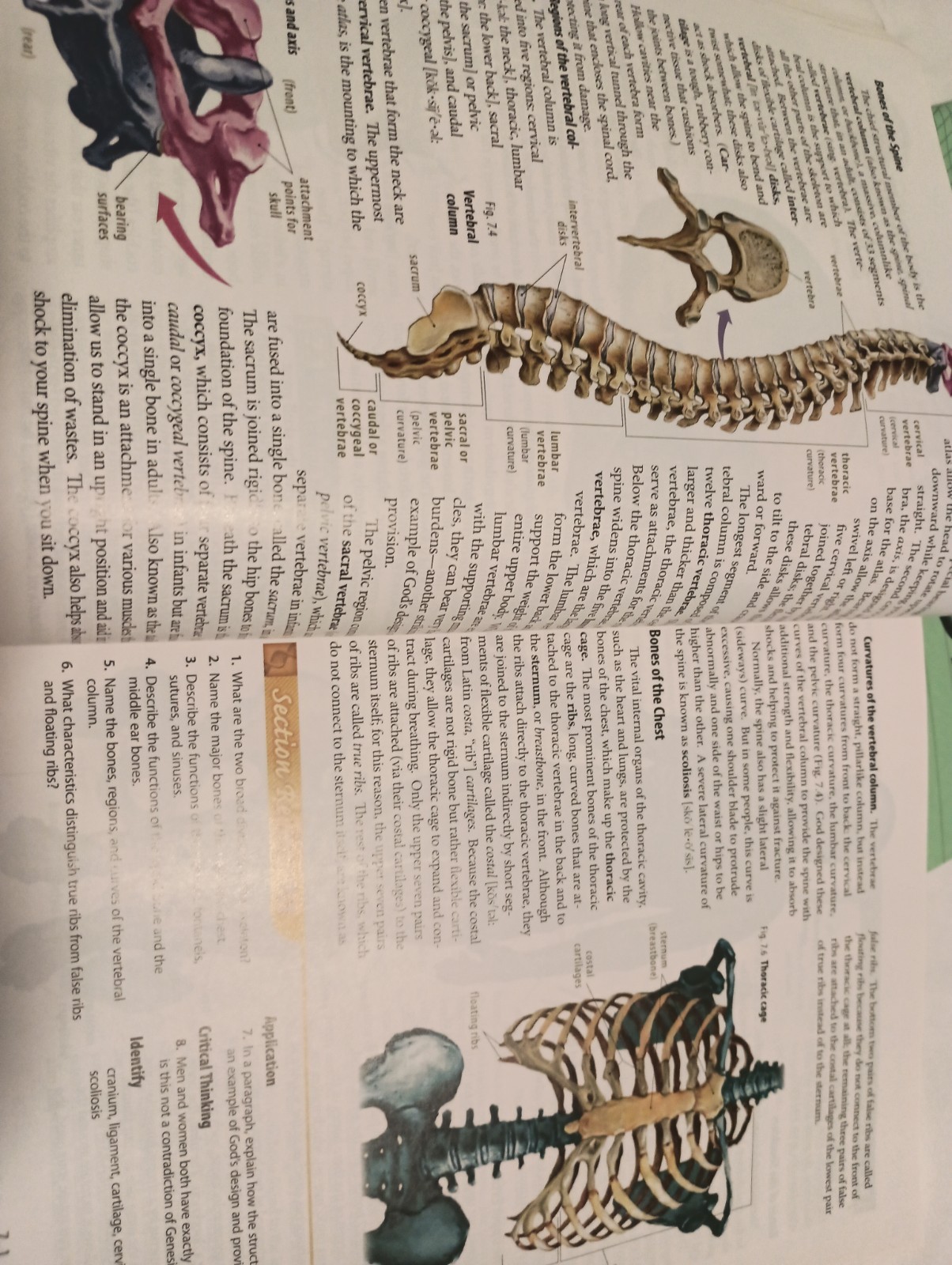 Abeka Biology Student Textbook & Teacher Keys 4th Edition