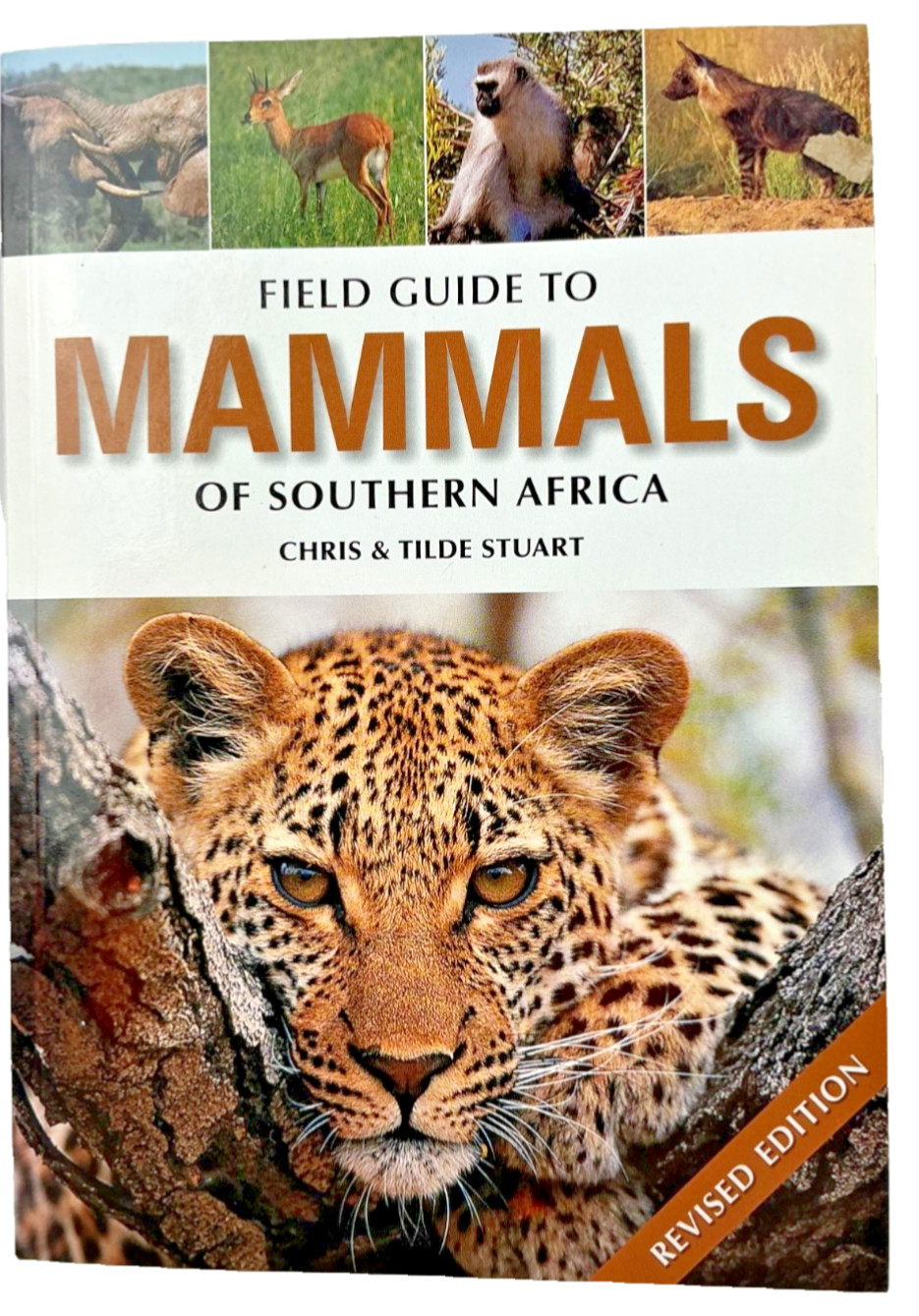 Mammals Of Southern South Africa Stuart Field Guide 307 pages Wild Animal Book
