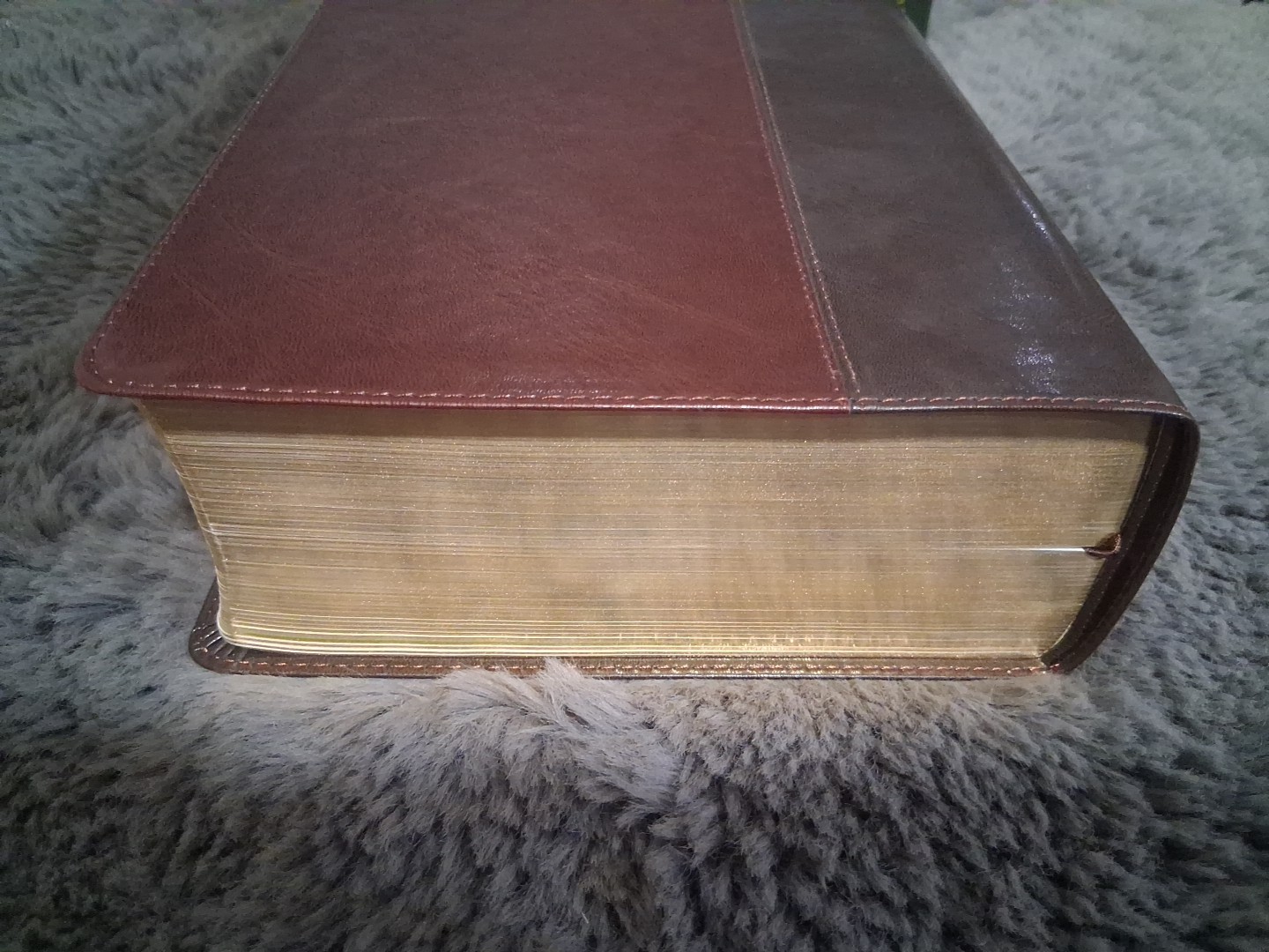 NLT Life Application Study Bible • Brown LeatherLike • Large Print $74.99 Retail