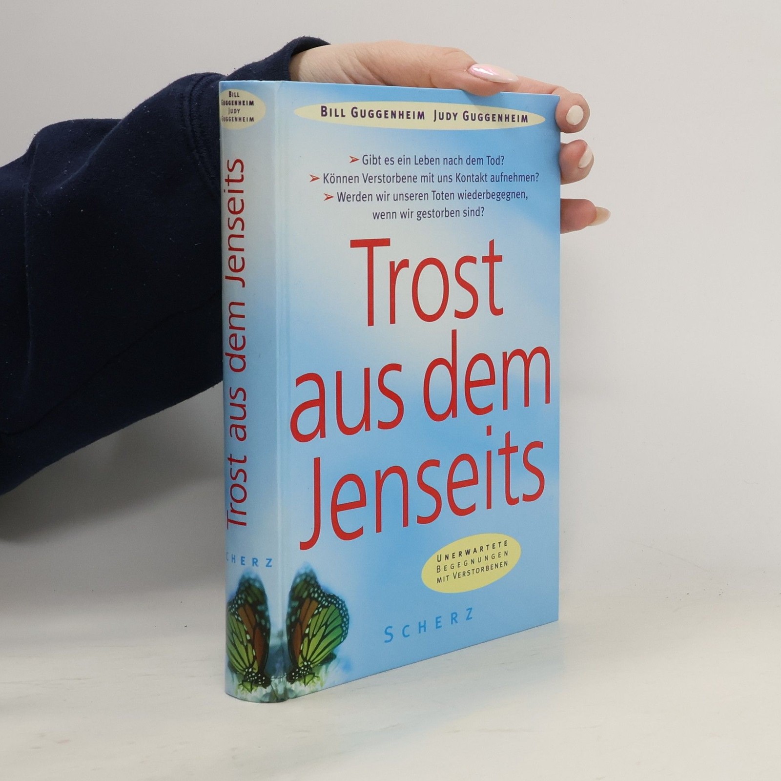 Trost aus dem Jenseits  |  Bill Guggenheim