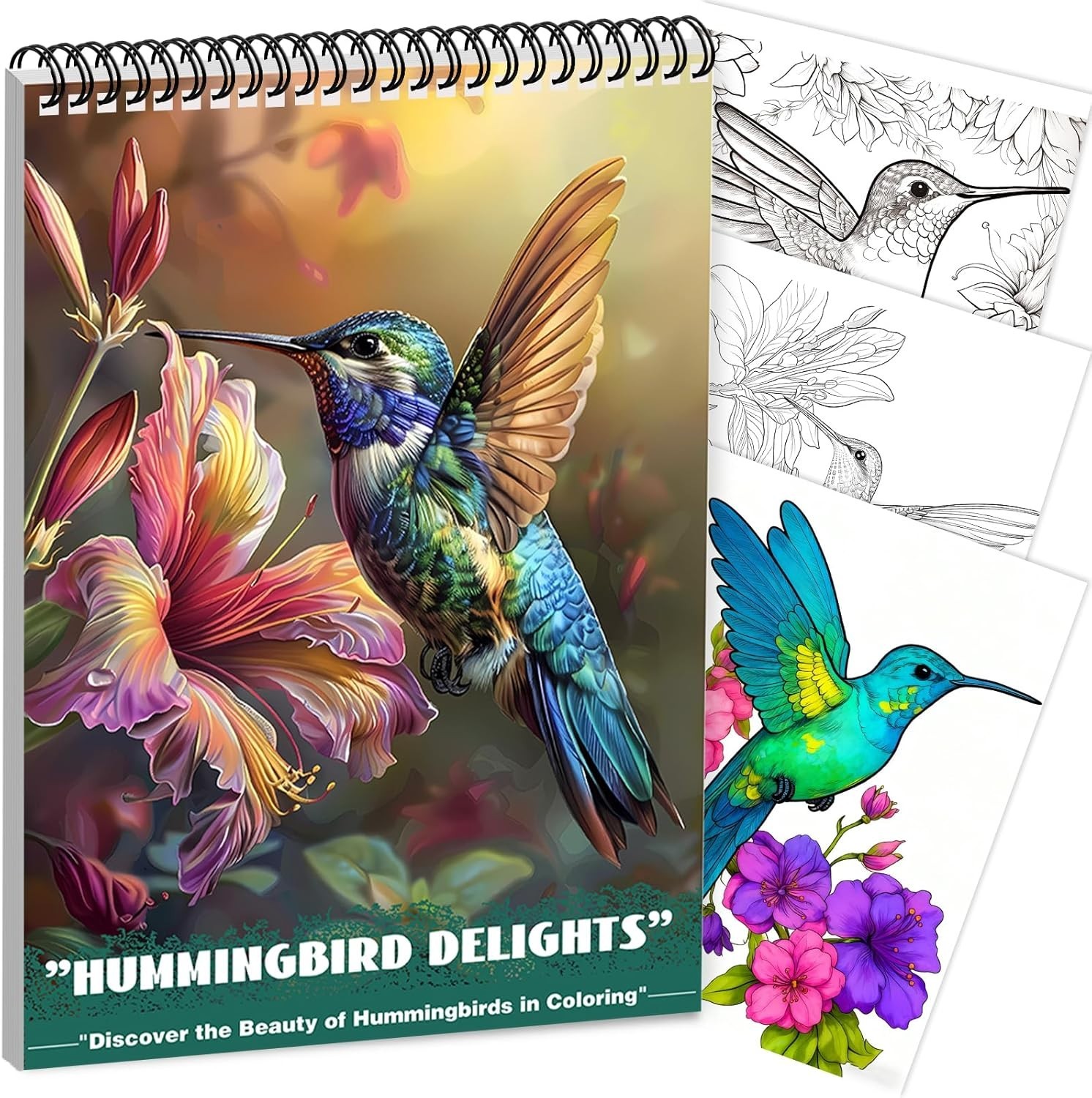 Humming Bird Adult Coloring Book Spiral Bound Mindfulness Adult Coloring Book fo