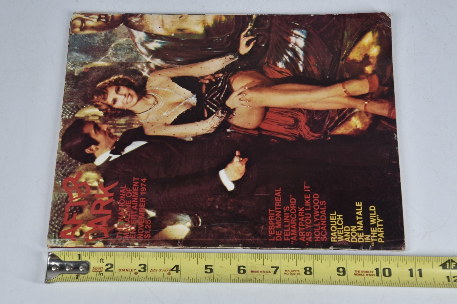 Vintage After Dark Magazine Nov 1974 Raquel Welch Wild Party Gay Interest LGBTQ