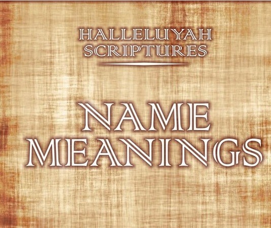 HalleluYah Scriptures NAME MEANGINS BOOK 2500 Names & Meanings FREE SHIPPING