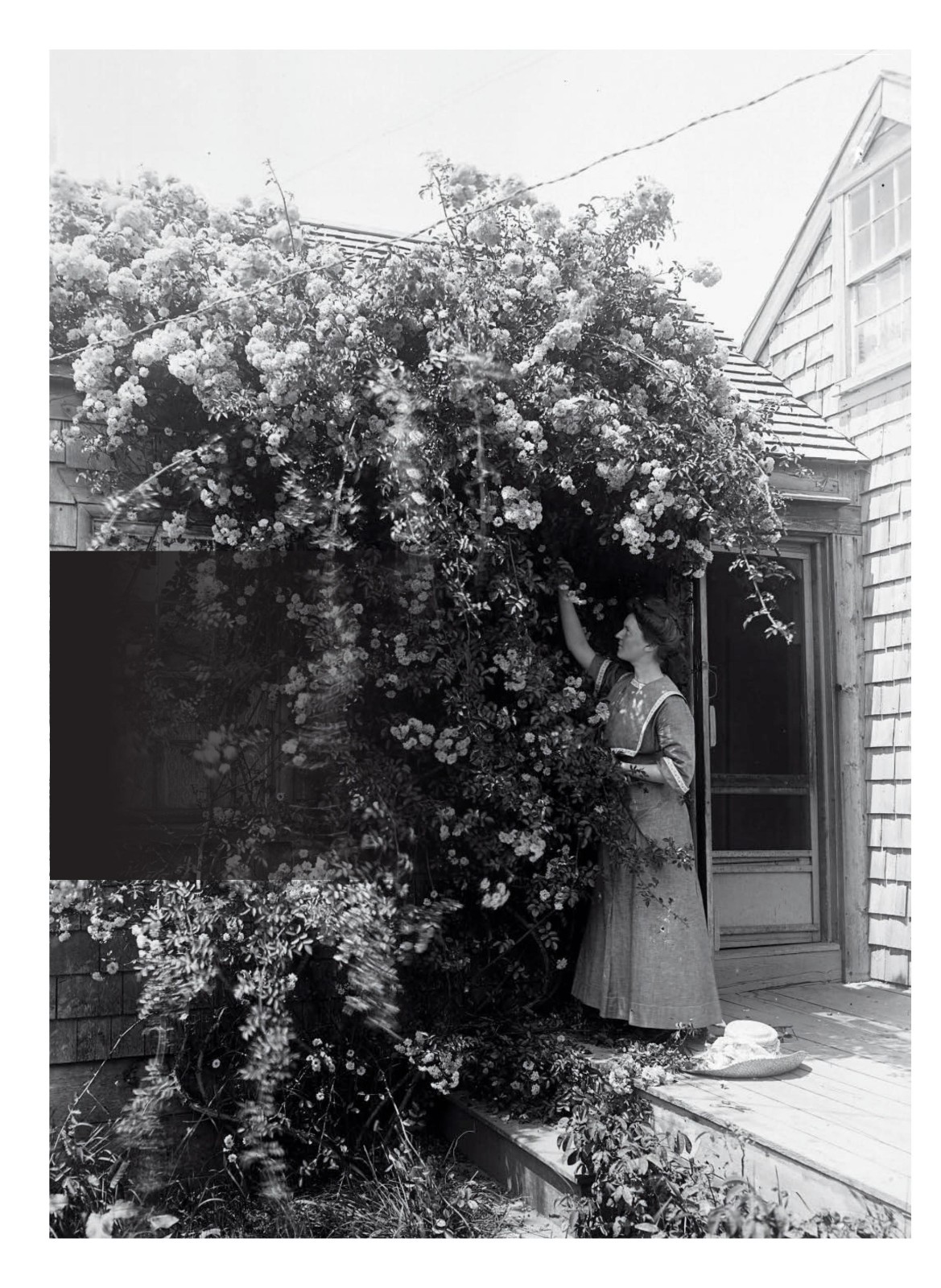 RARE Nantucket « N » Magazine June 2026 Jenna Bush Hager Nantucket Book Festival