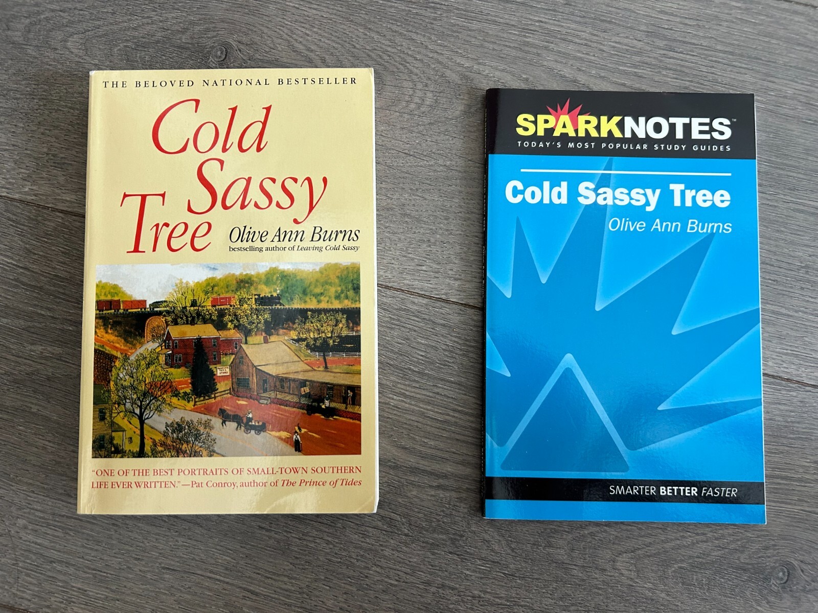 2 books! Cold Sassy Tree & Cold Sassy Tree Sparknotes by Olive Ann Burns
