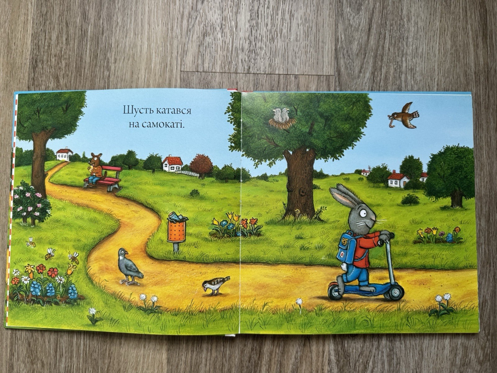 Шусть і Шуня: Спритний самокат Hardcover Ukrainian Ages 0-4 Illus 2018