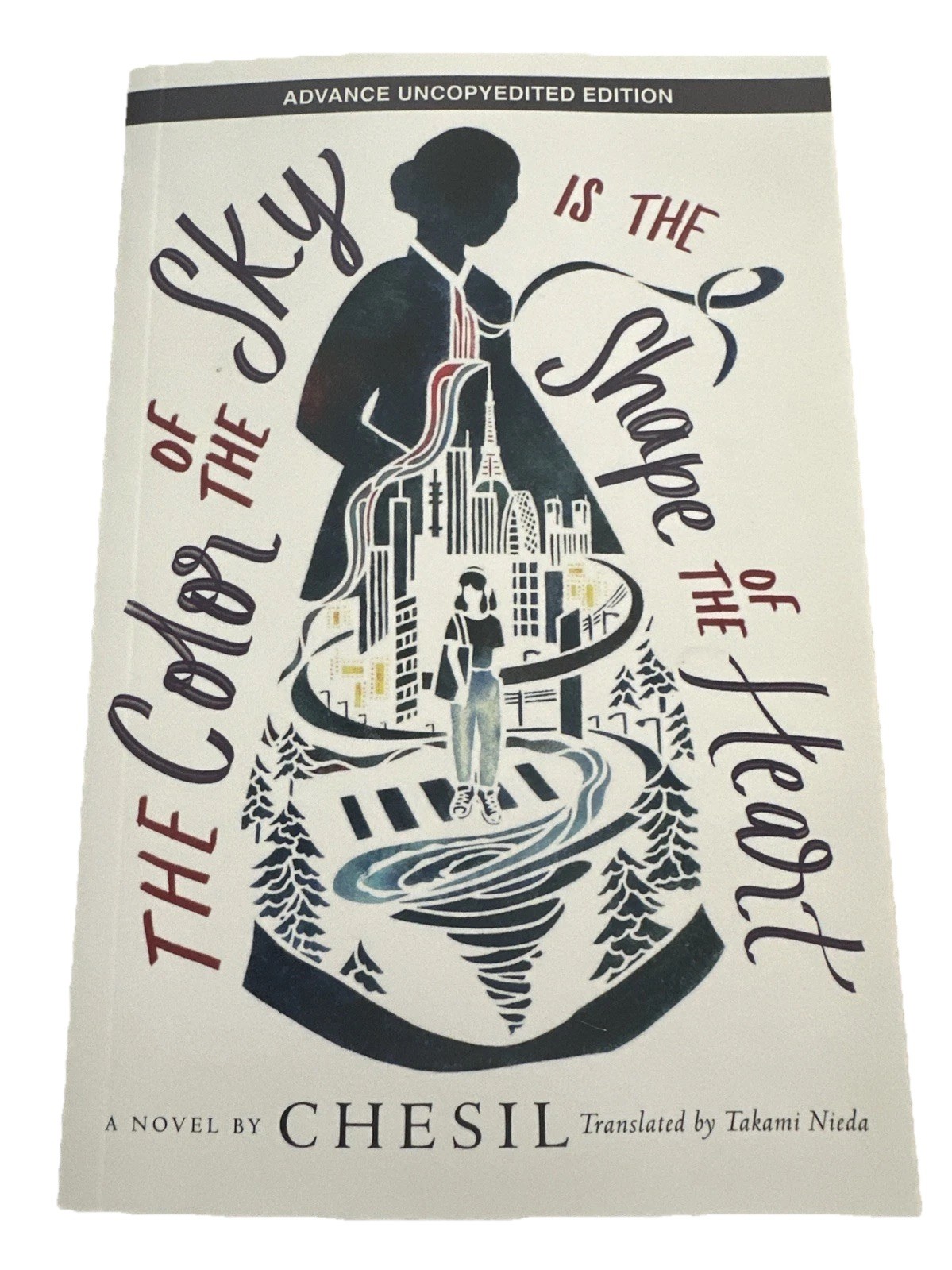 The Color of the Sky Is the Shape of the Heart by Chesil