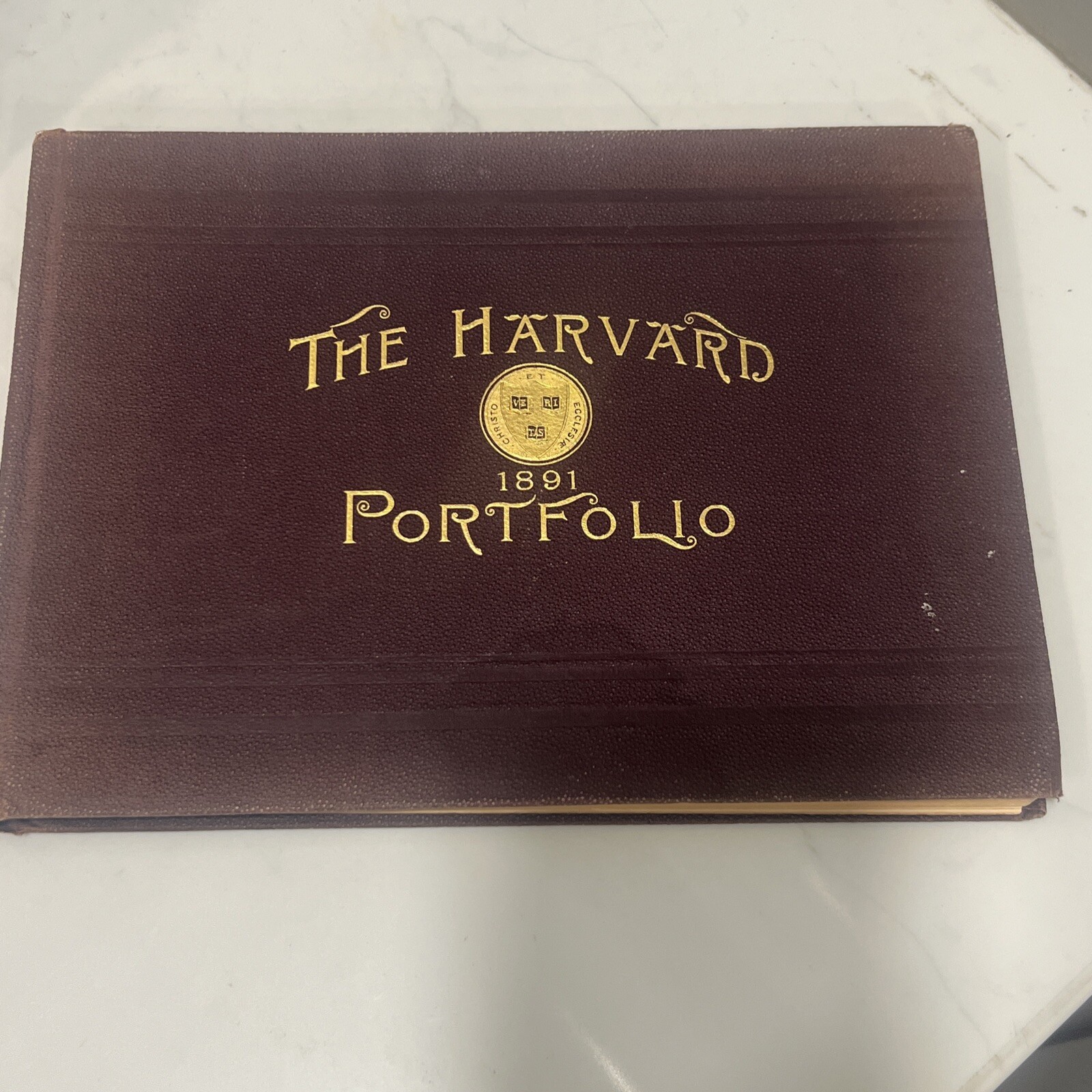 Rare 1891 The Harvard Portfolio Annual Illustrated Record Of Men Book Antique