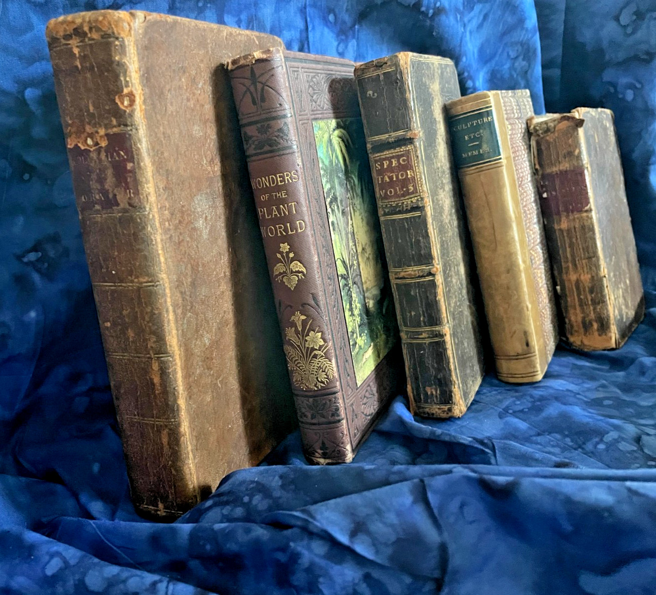 Tiny Antique Books; Miscellany, Plant World, Spectator, Columbian Orator #B46