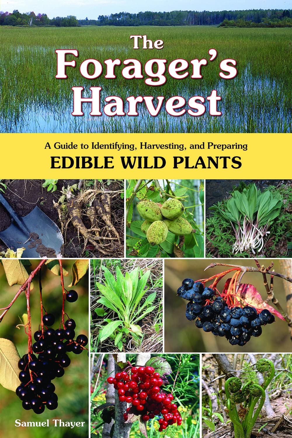 The Forager&rsquo;S Harvest: a Guide to Identifying, Harvesting, and Preparing Edible