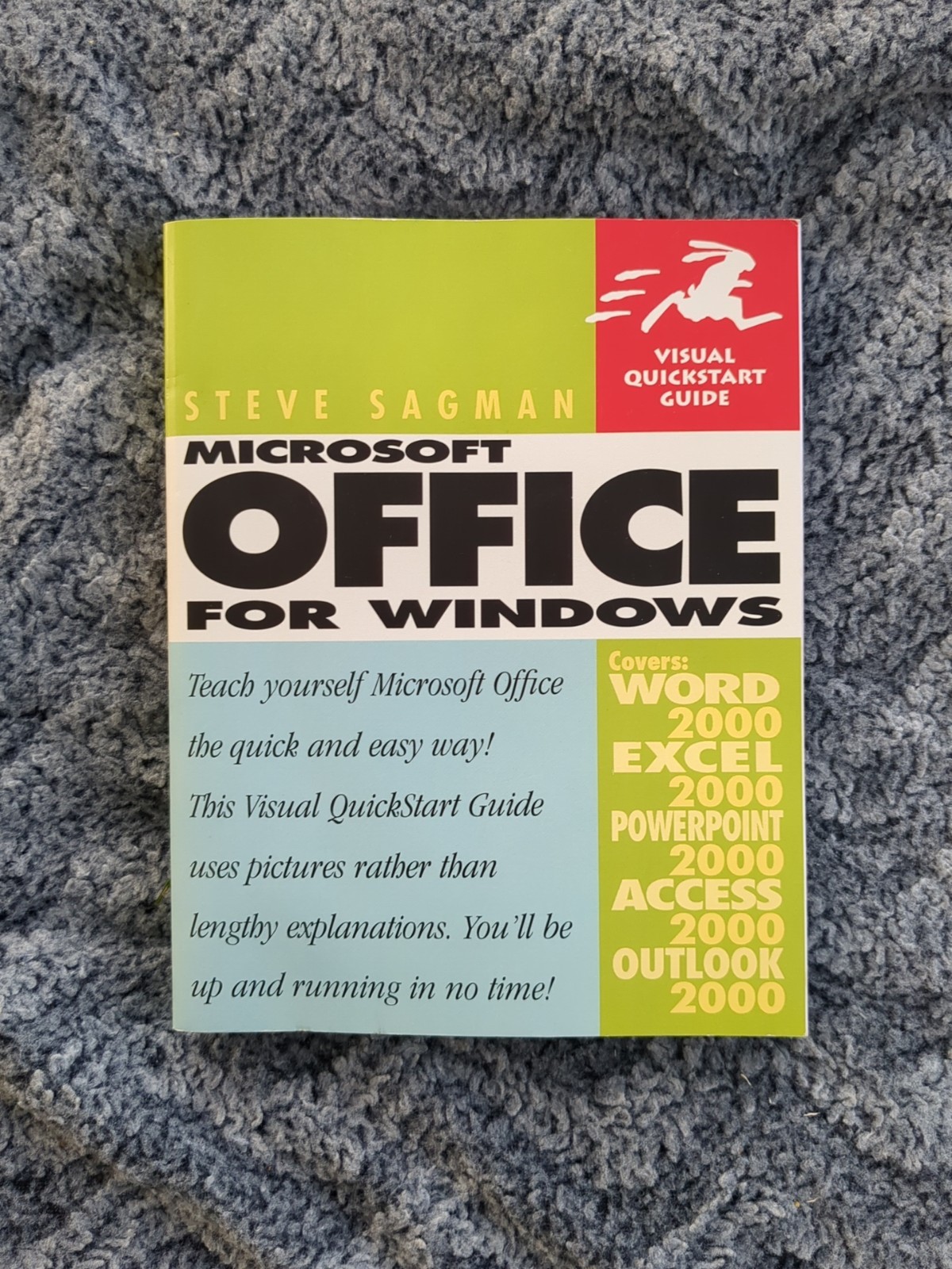 Microsoft Office 2000 for Windows (Visual QuickStart Guide) by Steve Sagman