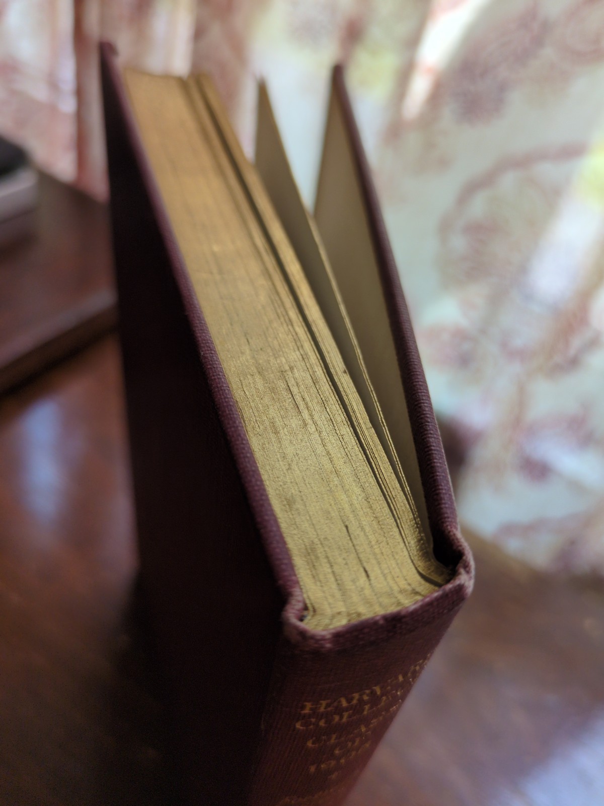 Harvard College Class of 1905 ,40th Anniversary Report. HC (19)