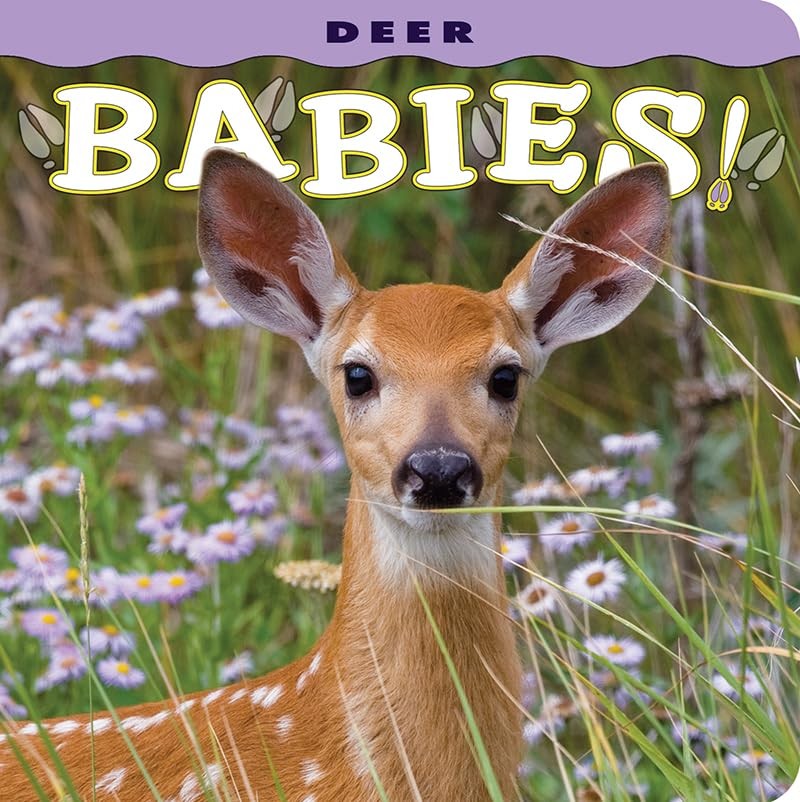 Deer Babies! (Babies! & Cuties!)