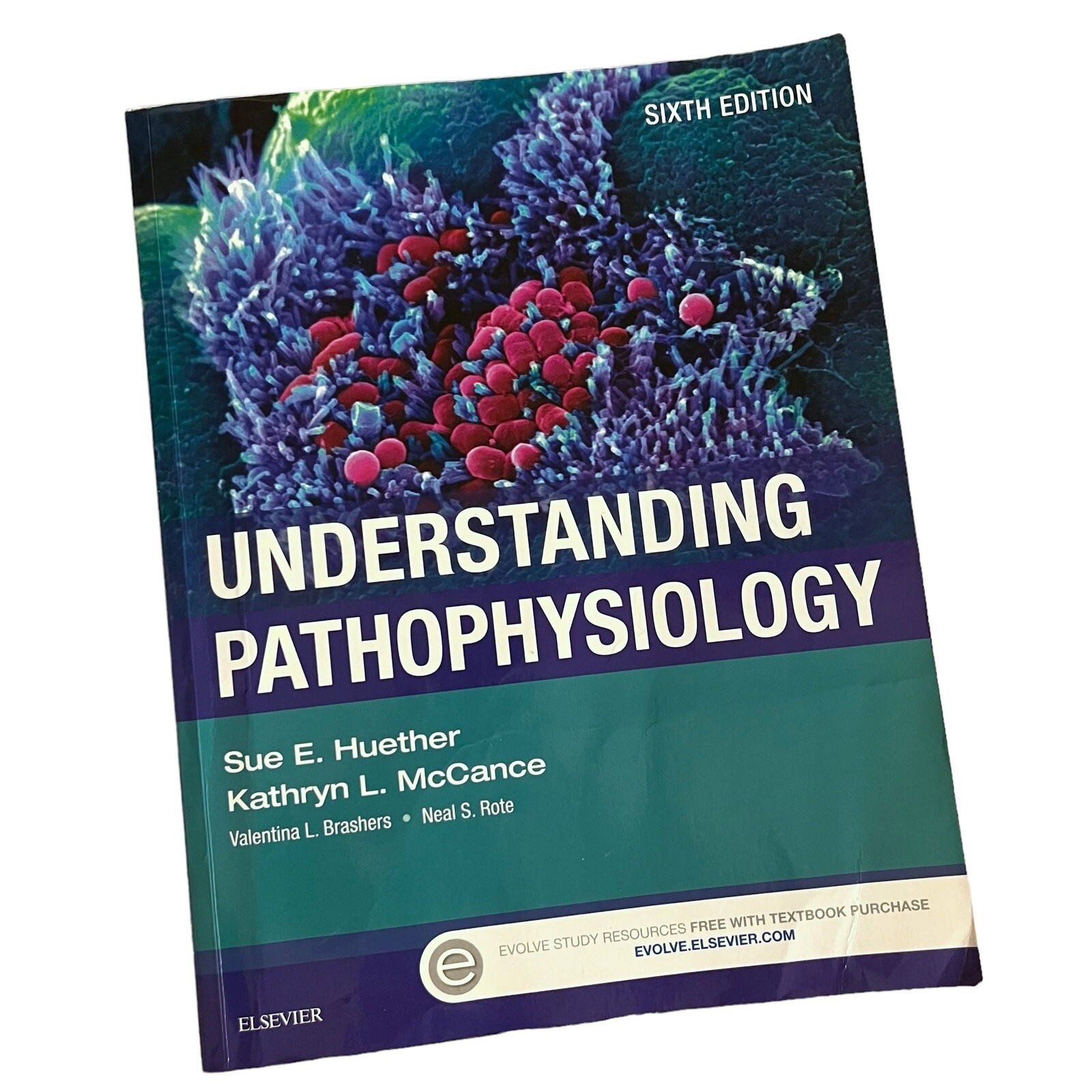 Understanding Pathophysiology Sixth Edition by Kathryn L. McCance Paperback