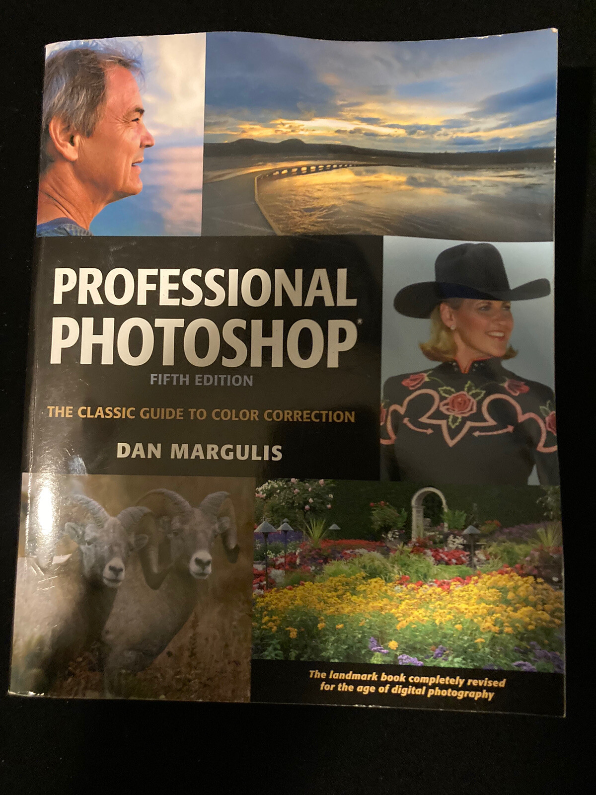 Professional Photoshop: The Classic Guid… by Margulis, Dan Mixed media product
